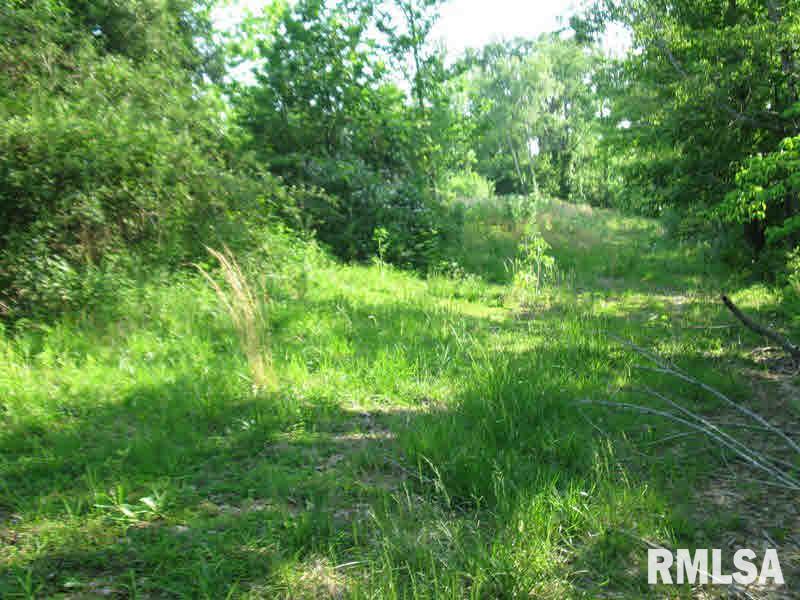 2225 Old Cape Road Jonesboro, IL 62952 - Photo 33 of 50