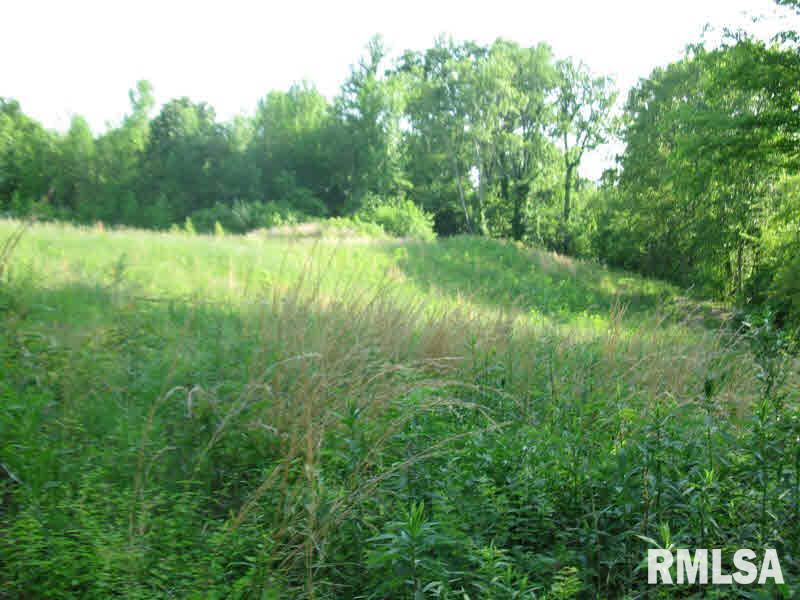 2225 Old Cape Road Jonesboro, IL 62952 - Photo 34 of 50