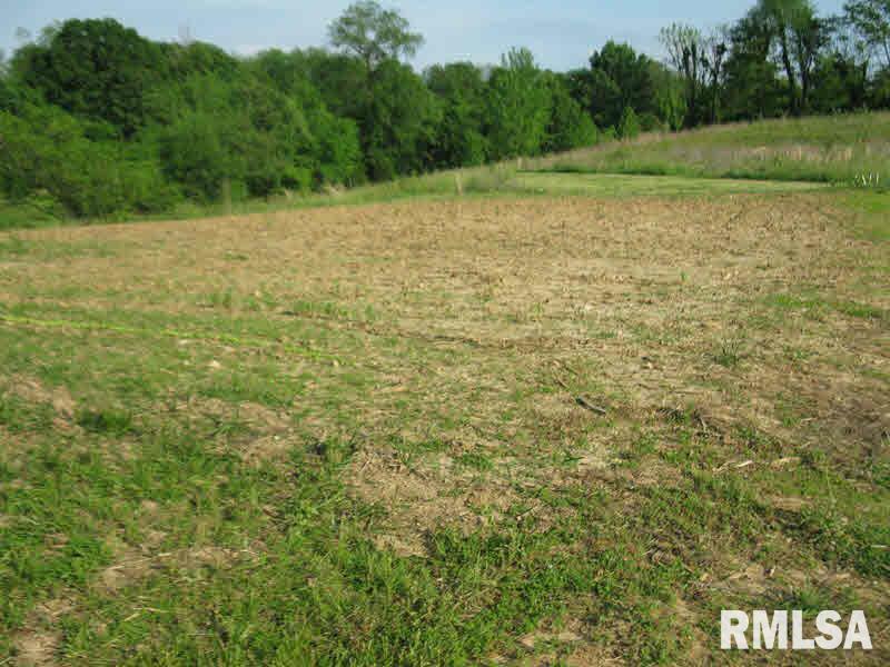 2225 Old Cape Road Jonesboro, IL 62952 - Photo 35 of 50