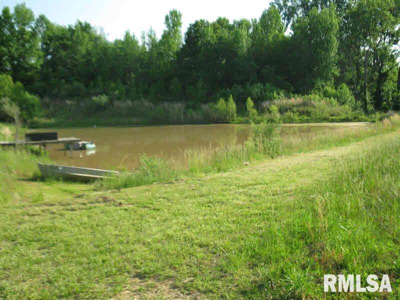 2225 Old Cape Road Jonesboro, IL 62952 - Photo 36 of 50