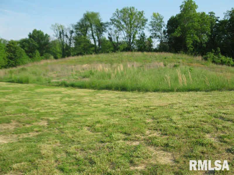 2225 Old Cape Road Jonesboro, IL 62952 - Photo 40 of 50