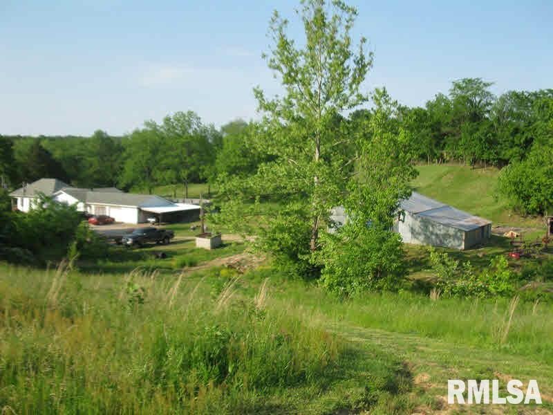 2225 Old Cape Road Jonesboro, IL 62952 - Photo 42 of 50