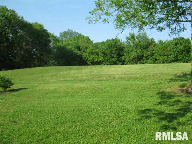 2225 Old Cape Road Jonesboro, IL 62952 - Photo 45 of 50