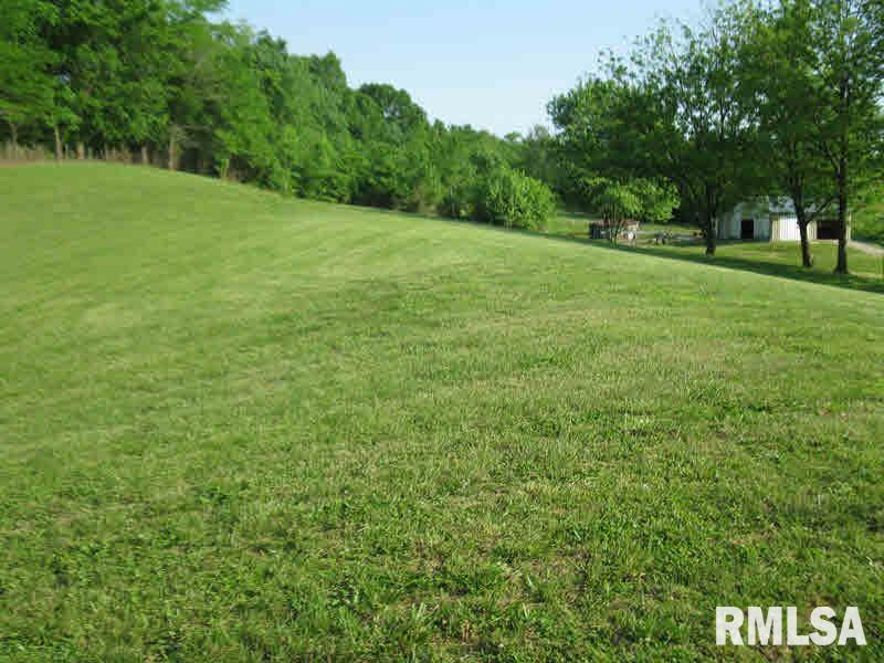 2225 Old Cape Road Jonesboro, IL 62952 - Photo 47 of 50