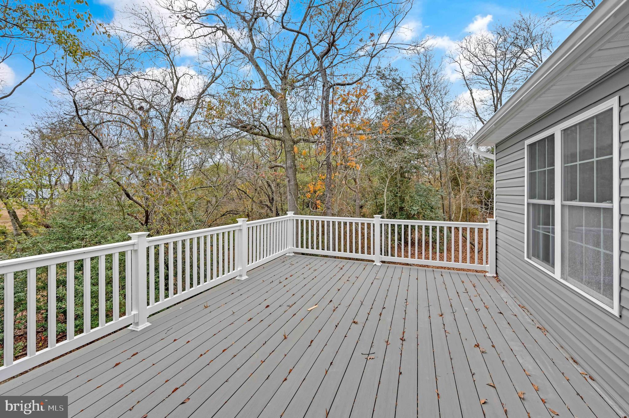 6303 Turkey Branch Road Laurel, DE 19956 - Photo 10 of 32 Huge elevated deck