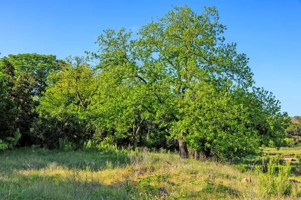 a view of a swimming pool and an outdoor space