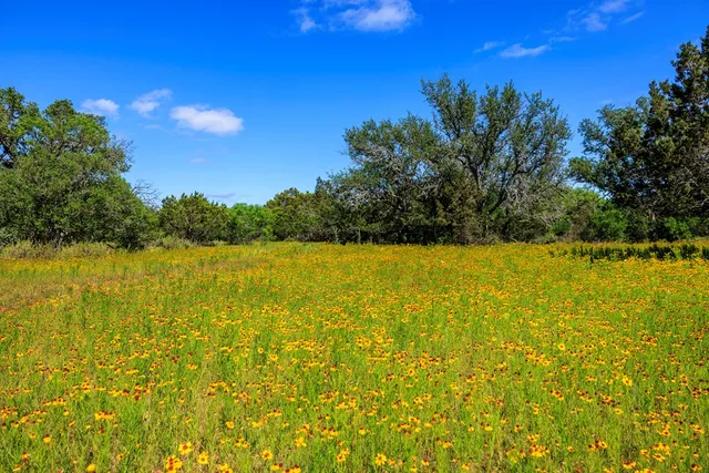 $3,500,000 | 2195 Langes Mill Road, Doss, TX 78618