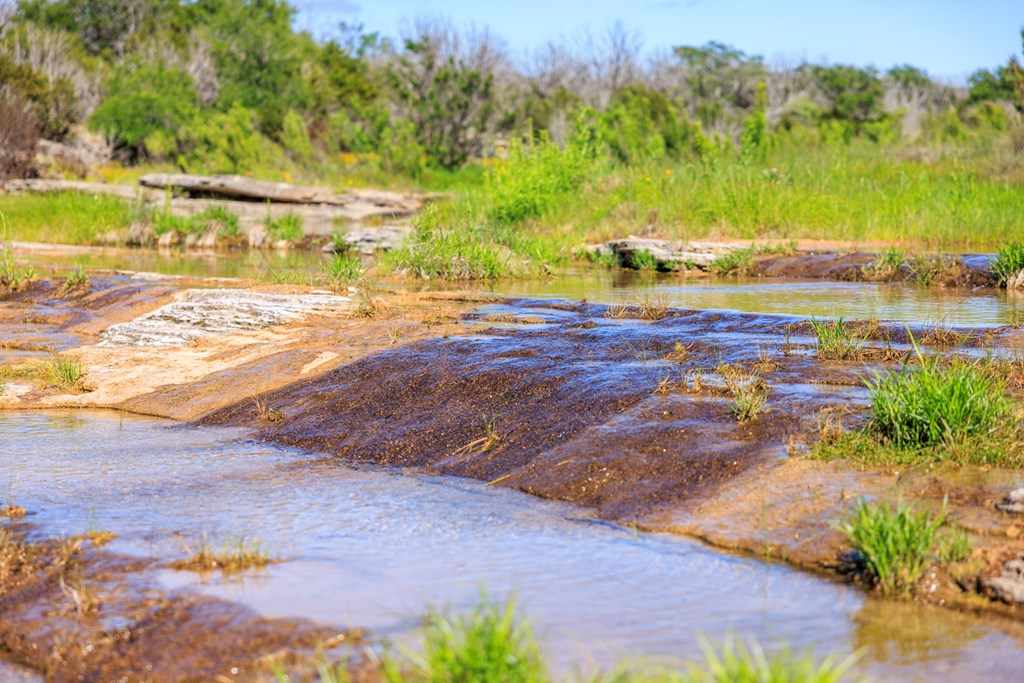 2195 Langes Mill Road Doss, TX 78618 - Photo 4 of 12 a view of a yard with an ocean