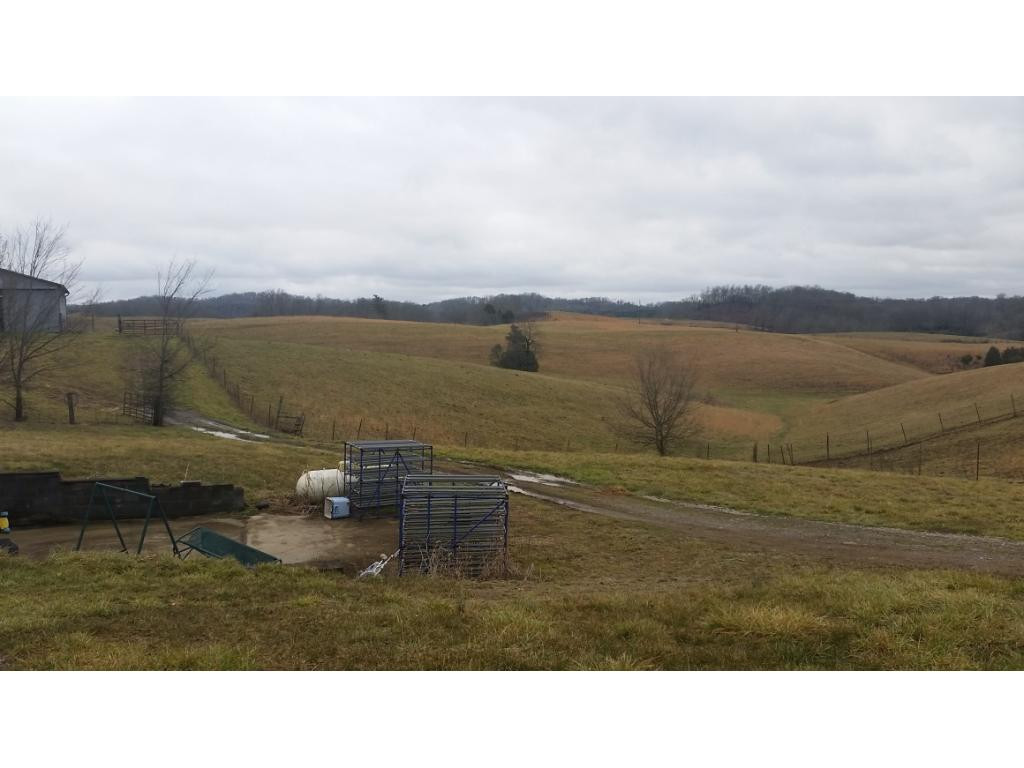475 Valleydale Road Mosheim, TN 37818 - Photo 3 of 11 View from back