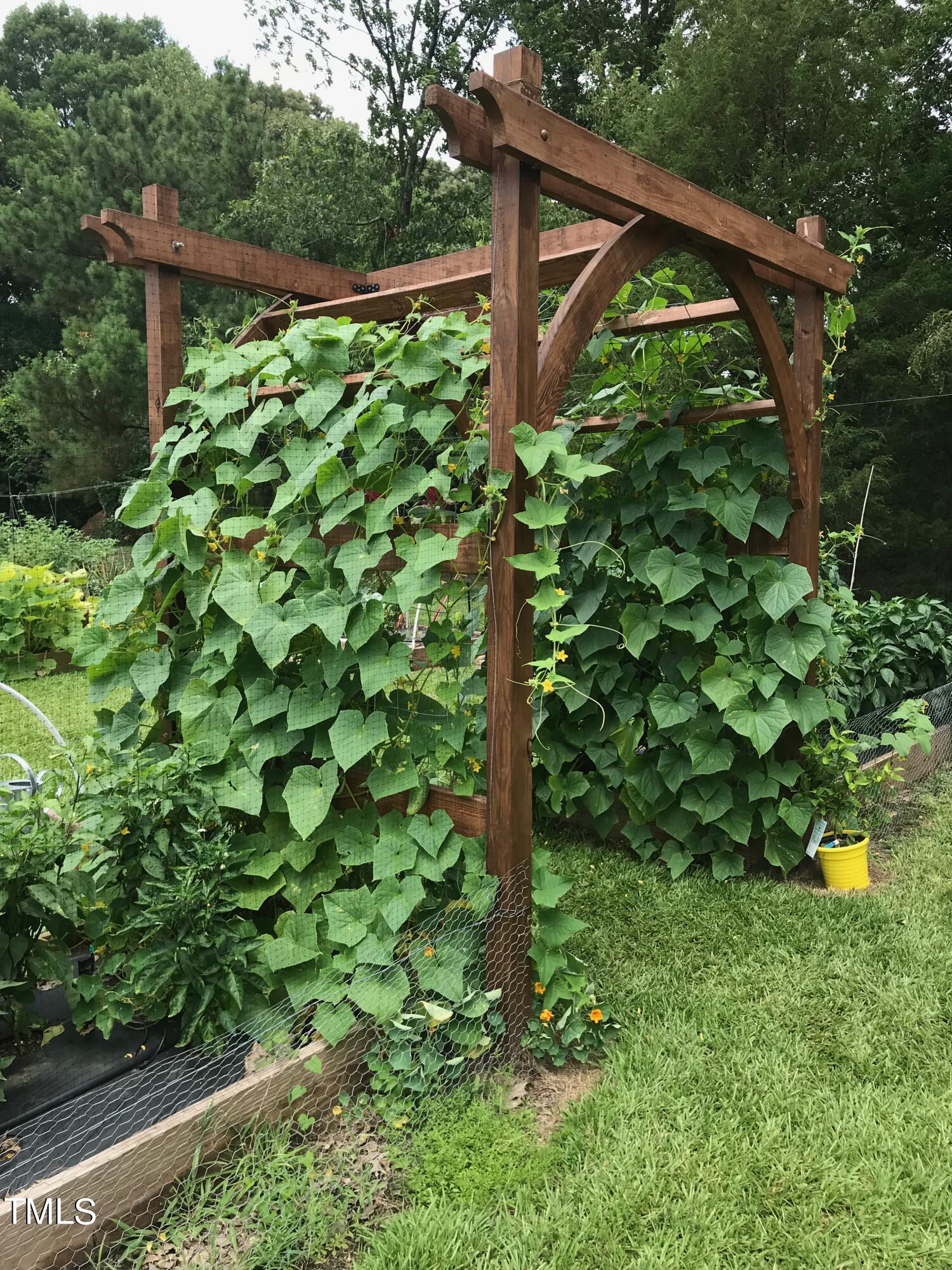 4209 Old Lewis Farm Road Raleigh, NC 27604 - Photo 41 of 47 a backyard of a house with lots of green space