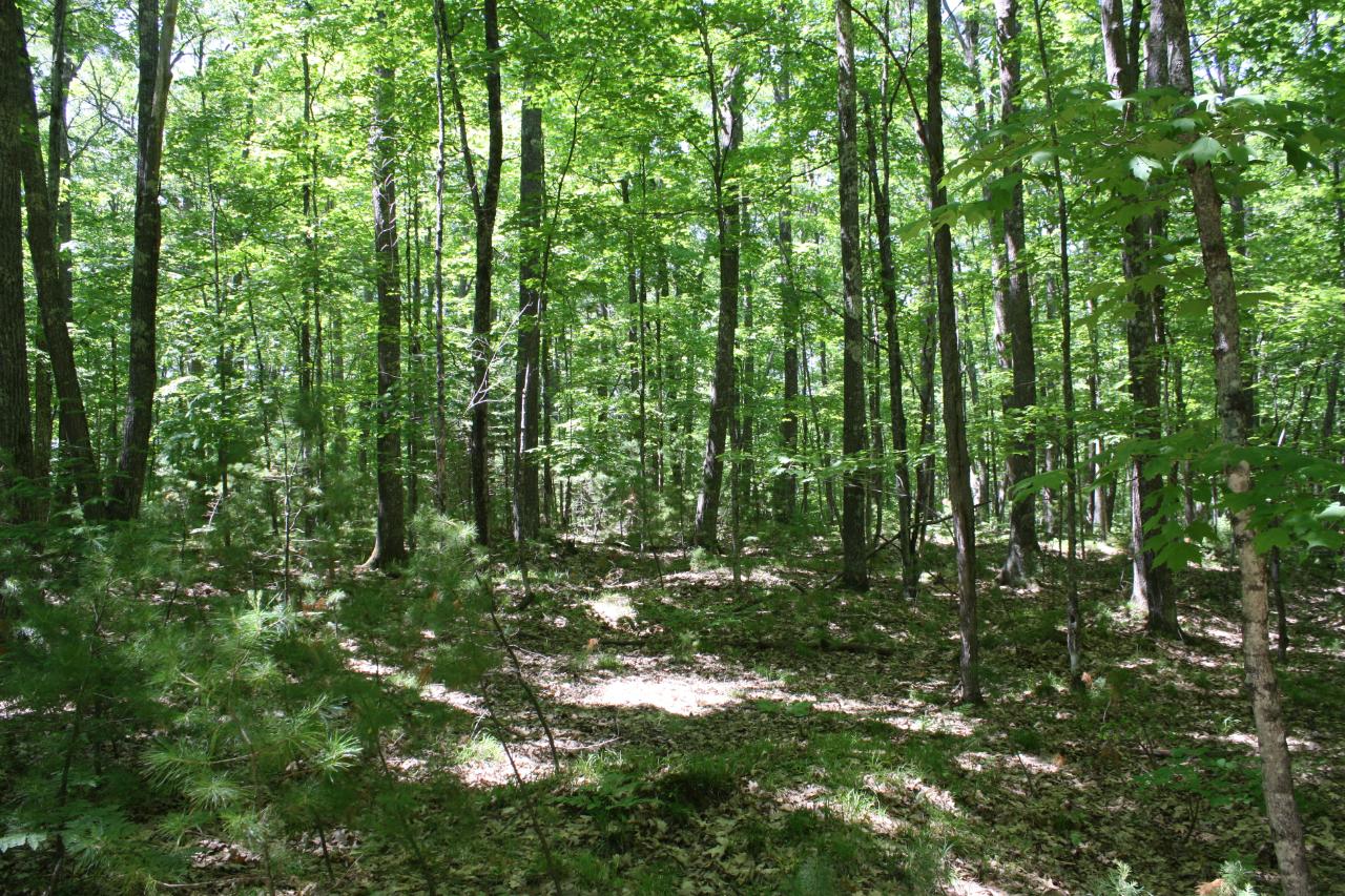 On Interlocken Road, Unit HA25811 Hazelhurst, WI 54531 - Photo 17 of 26 Gallery Image 17