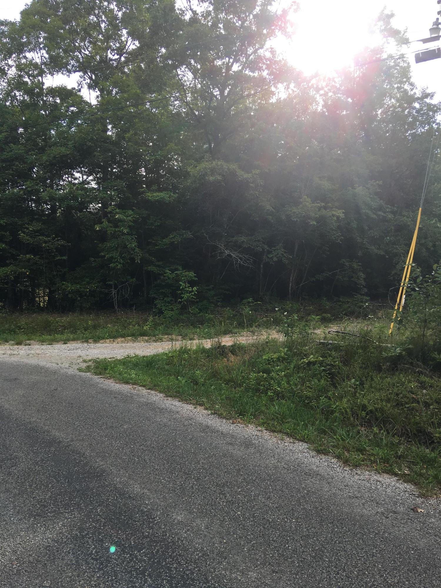 314 V F W Road Sunbright, TN 37872 - Photo 1 of 4 IMG_0386