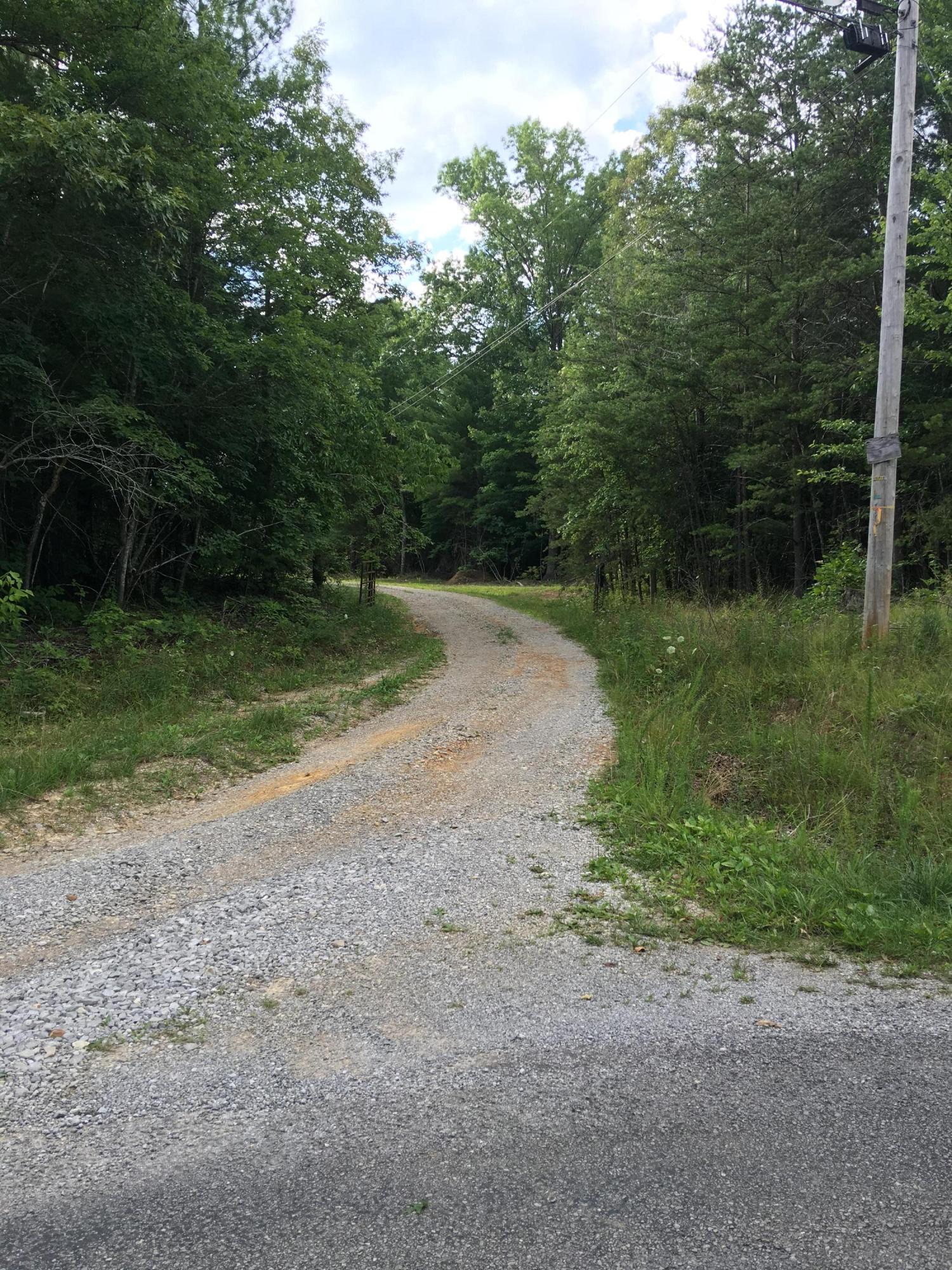 314 V F W Road Sunbright, TN 37872 - Photo 2 of 4 IMG_0382