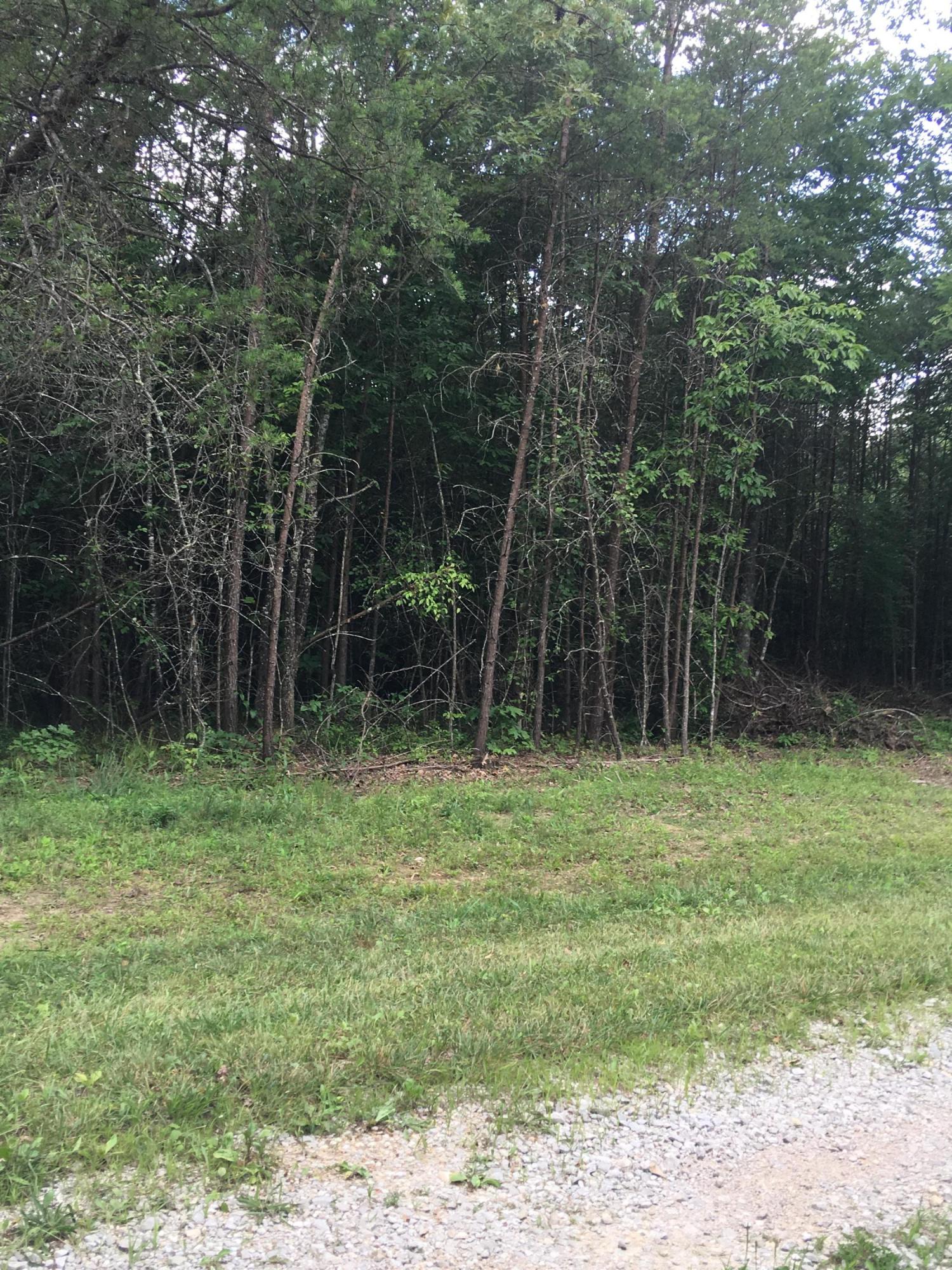 314 V F W Road Sunbright, TN 37872 - Photo 3 of 4 IMG_0376