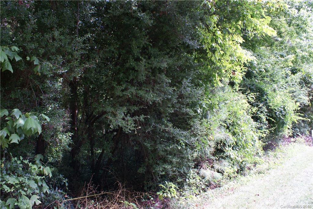 Lot 8 McConnell Road, Unit 8 Denver, NC 28037 - Photo 2 of 7 Gallery Image 2