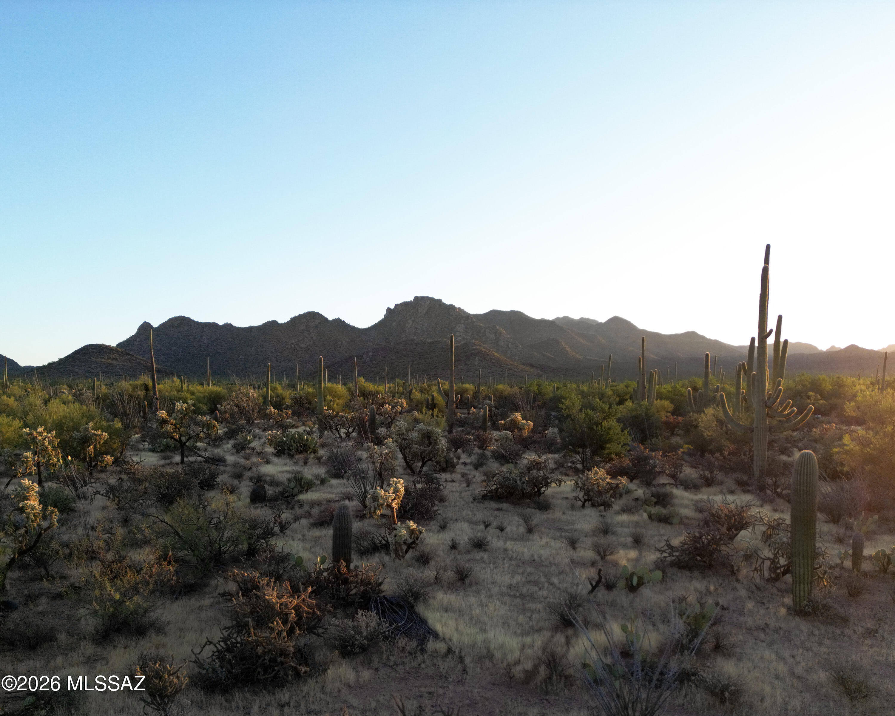 2831 North Sandario Road Tucson, AZ 85743 - Photo 5 of 12