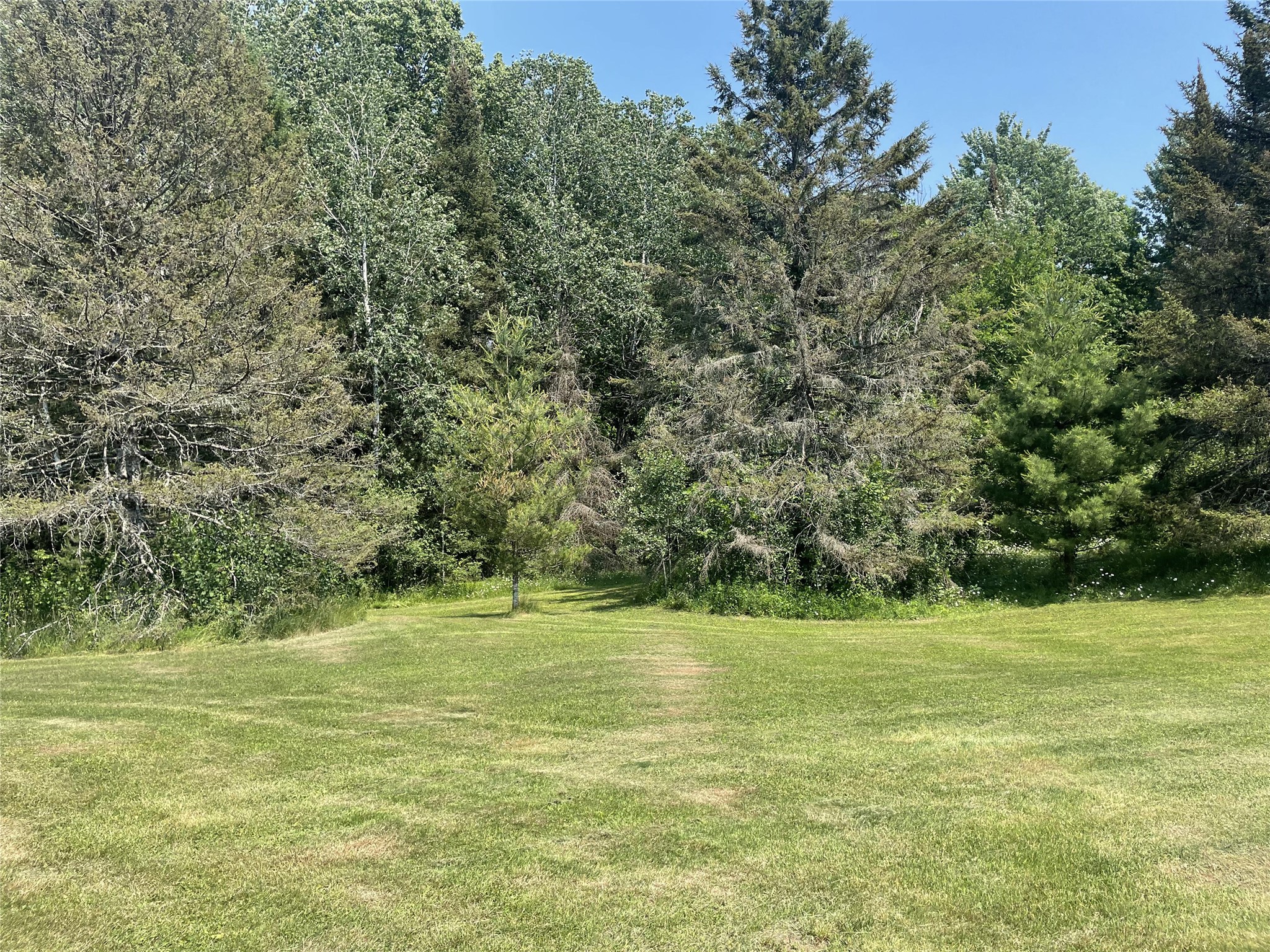 75782 Gear Road Glidden, WI 54527 - Photo 32 of 42