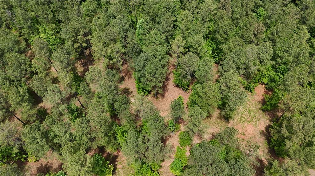 1 Wilson Road Temple, GA 30179 - Photo 62 of 88 a view of a lush green forest