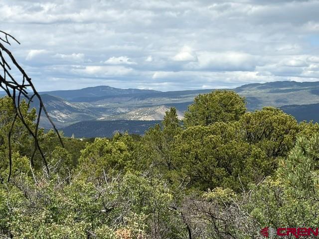 Lot 4 Tower Road Ridgway, CO 81432 - Photo 12 of 14