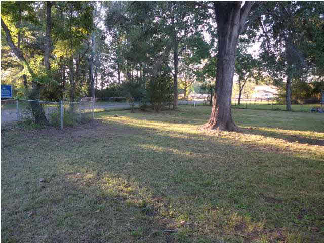 203 North Fox Hall Road Pearl, MS 39208 - Photo 8 of 8 Backayrd