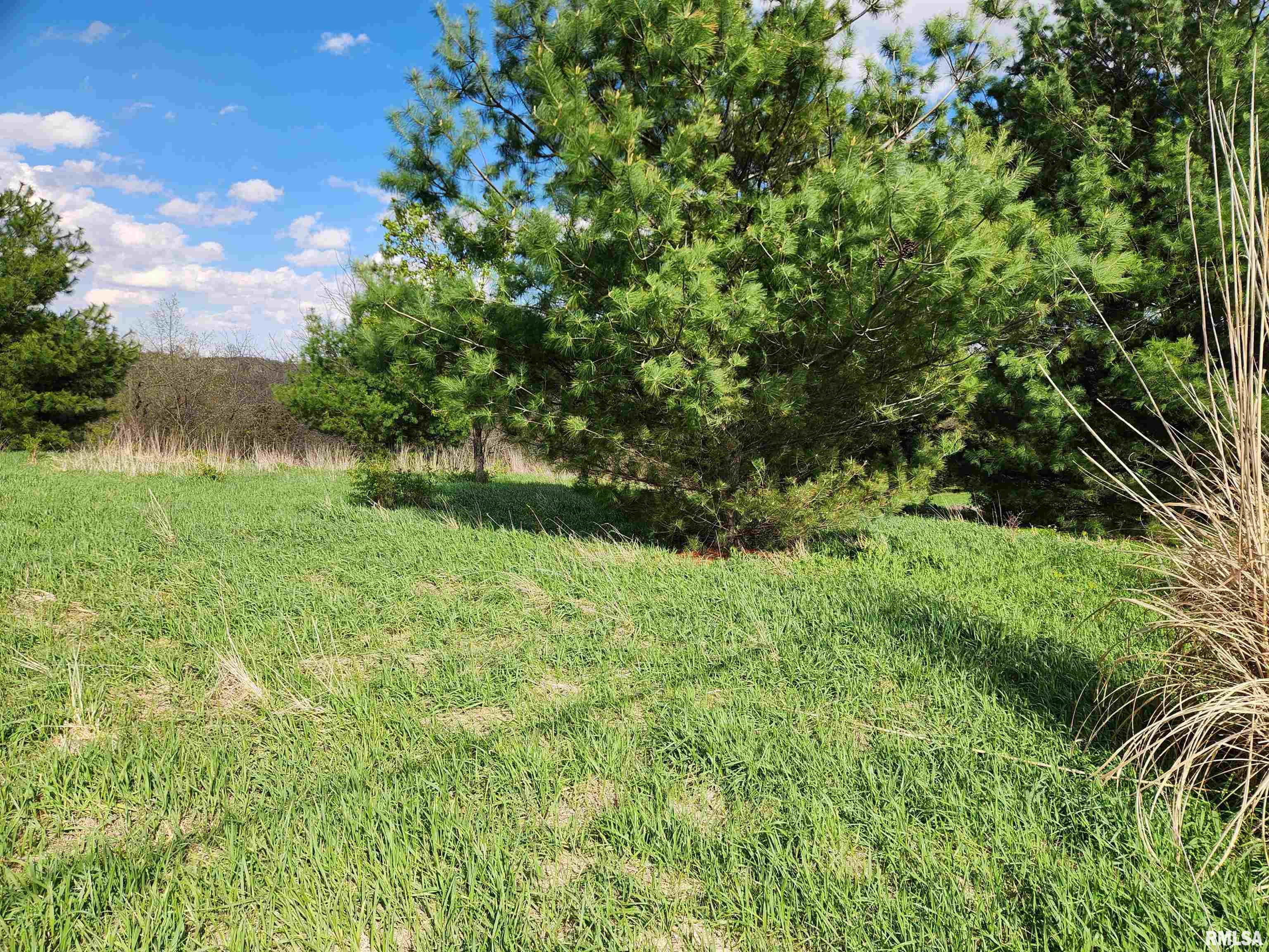 376 East Town Hall Road Metamora, IL 61548 - Photo 2 of 10