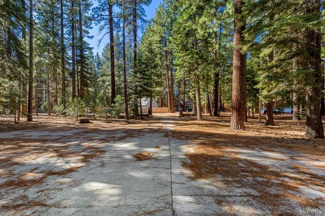 a view of road with trees