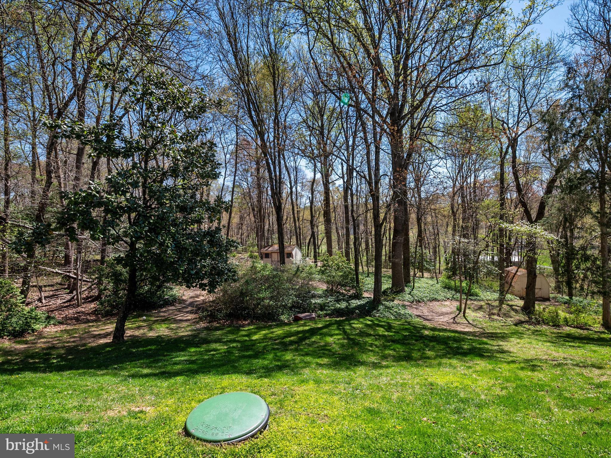 5345 Green Bridge Road Dayton, MD 21036 - Photo 48 of 68 Backyard w/Shed