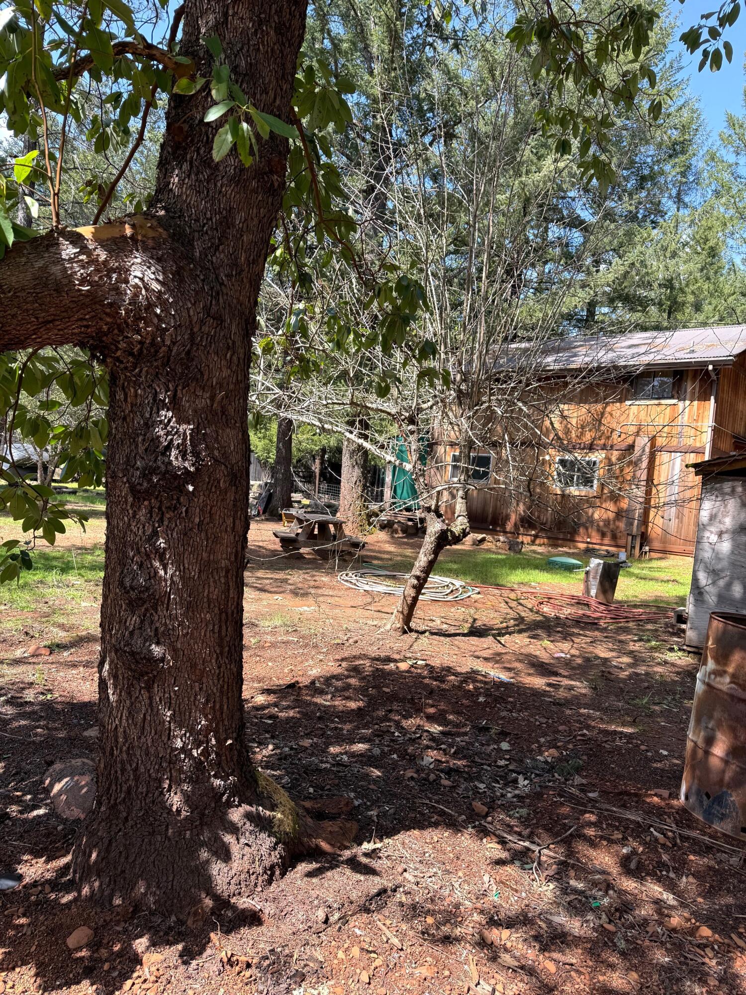 765 Lone Mountain Road O'Brien, OR 97534 - Photo 2 of 16 Huge area in back of home great for all kinds of activities.
