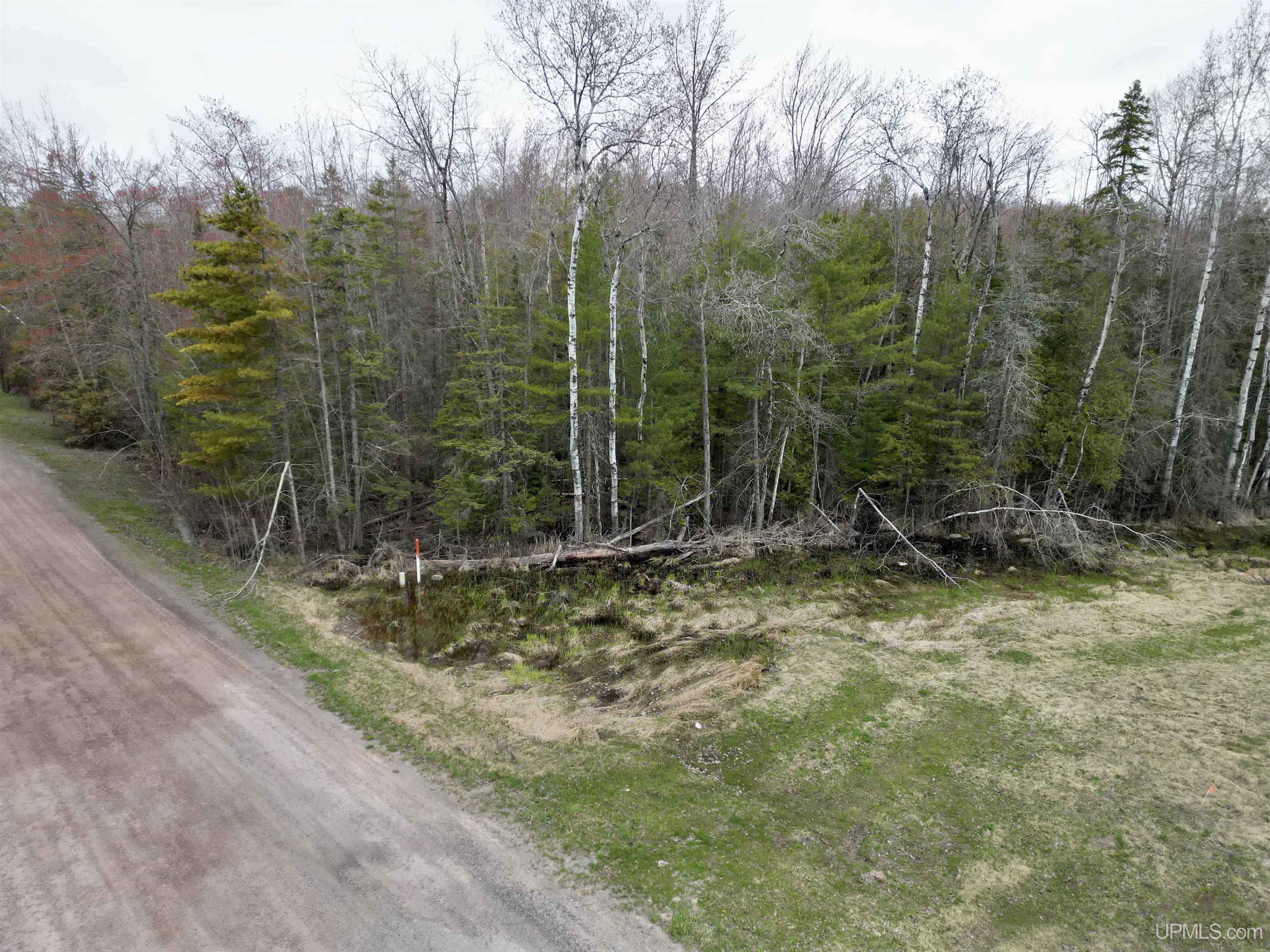 Tbd Tbd Us 41/beartown Road Baraga, MI 49908 - Photo 14 of 17