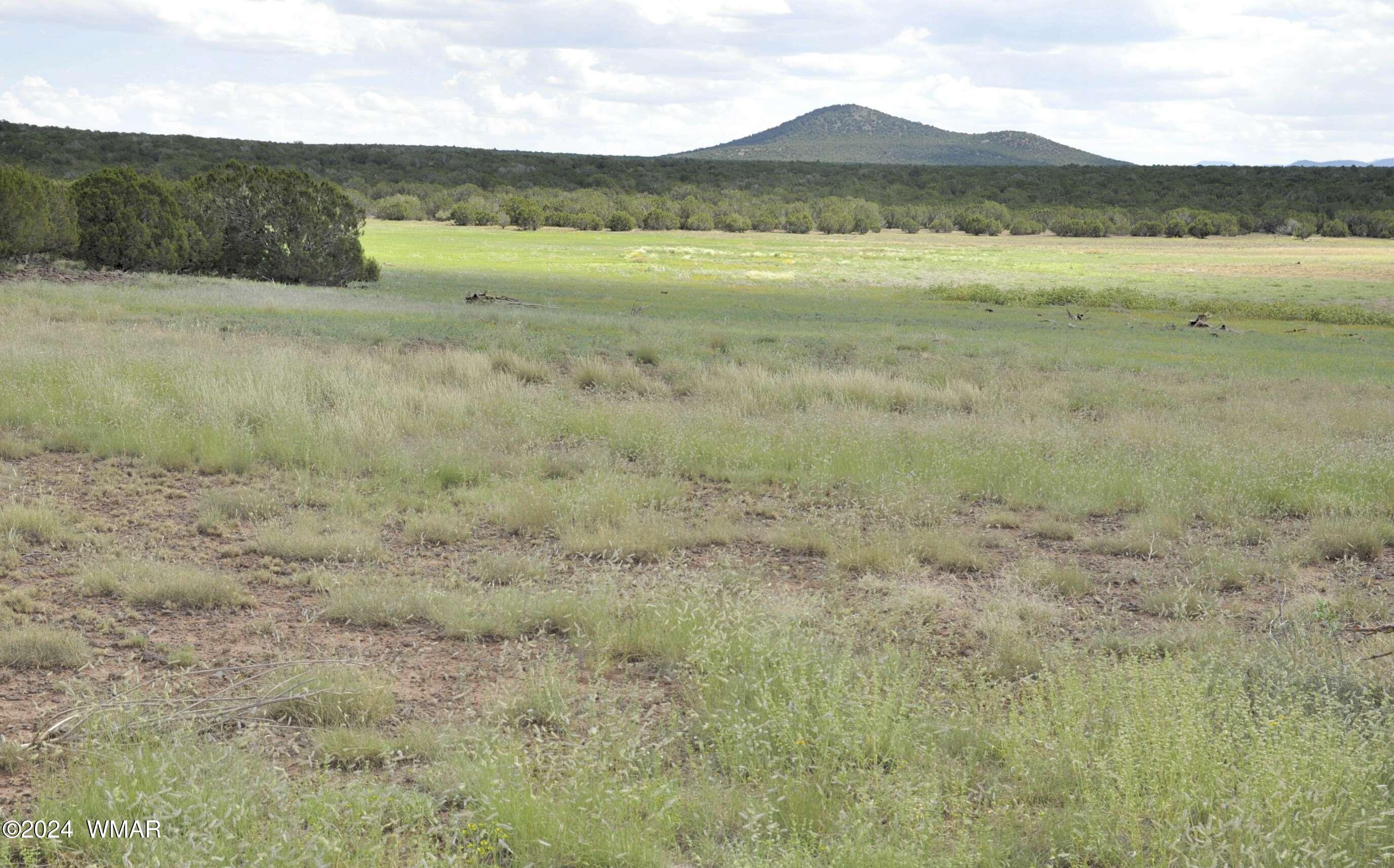 404 55-001 Chamisa Ranch Show Low, AZ 85901 - Photo 1 of 17 primary