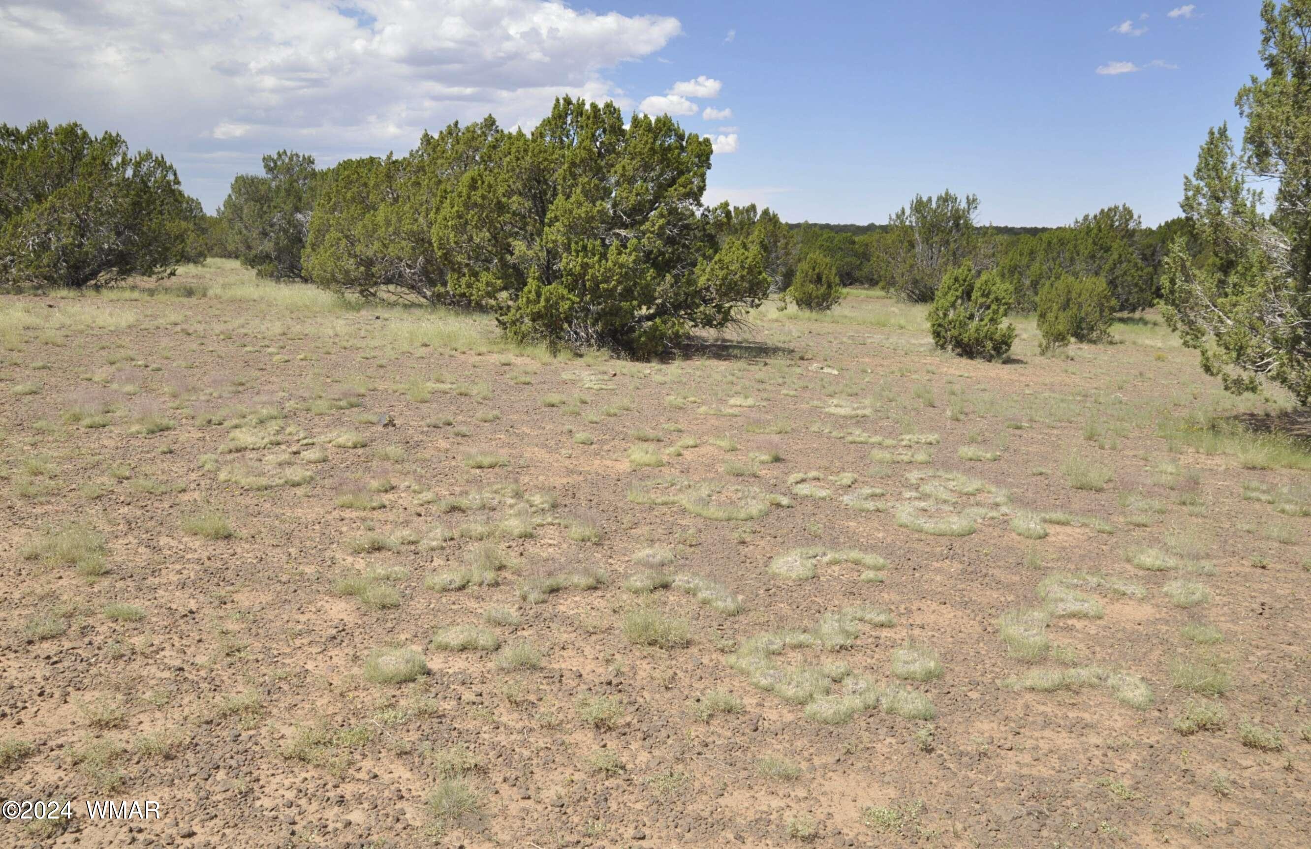 404 55-001 Chamisa Ranch Show Low, AZ 85901 - Photo 11 of 17 14