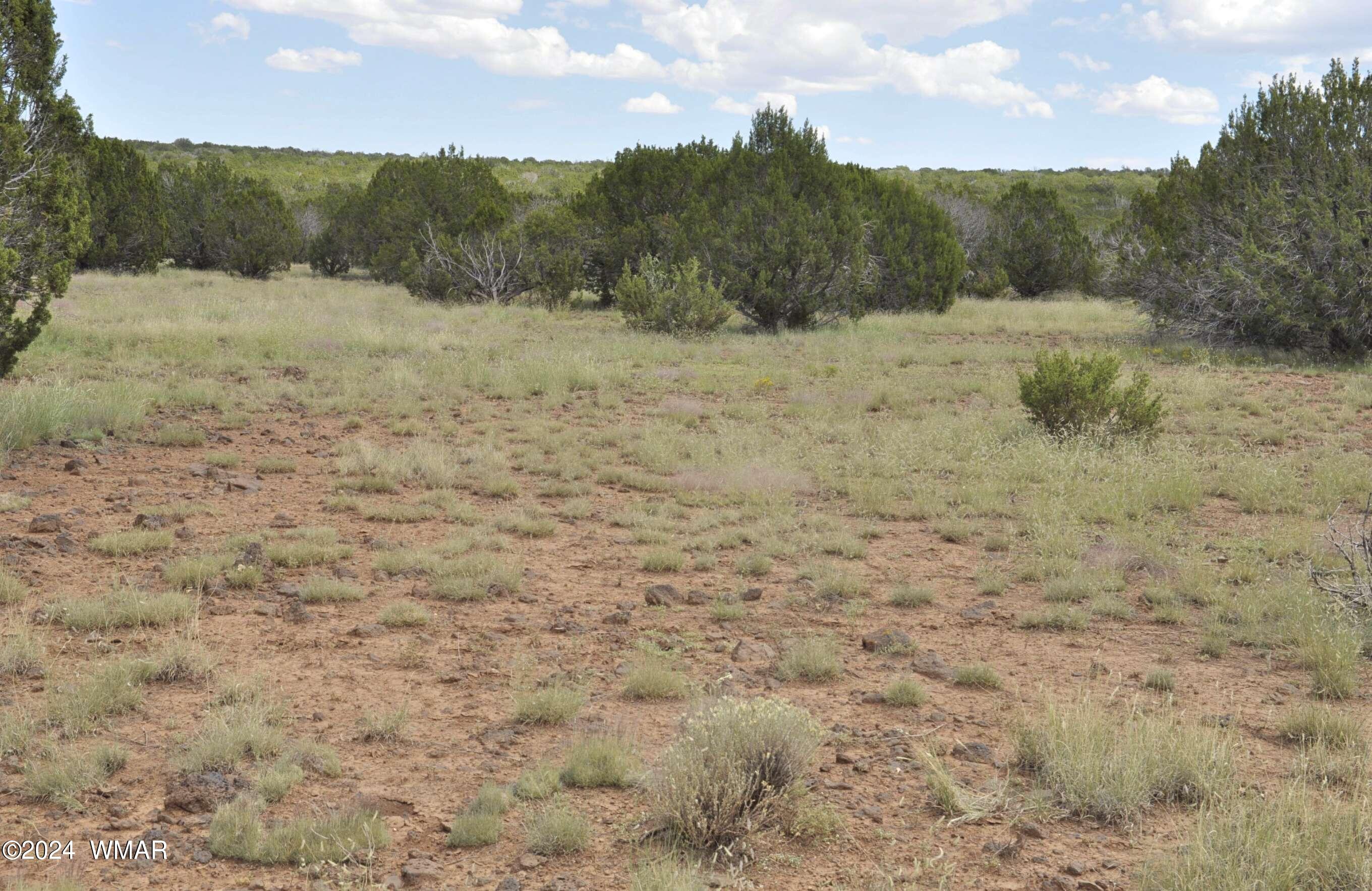 404 55-001 Chamisa Ranch Show Low, AZ 85901 - Photo 12 of 17 15