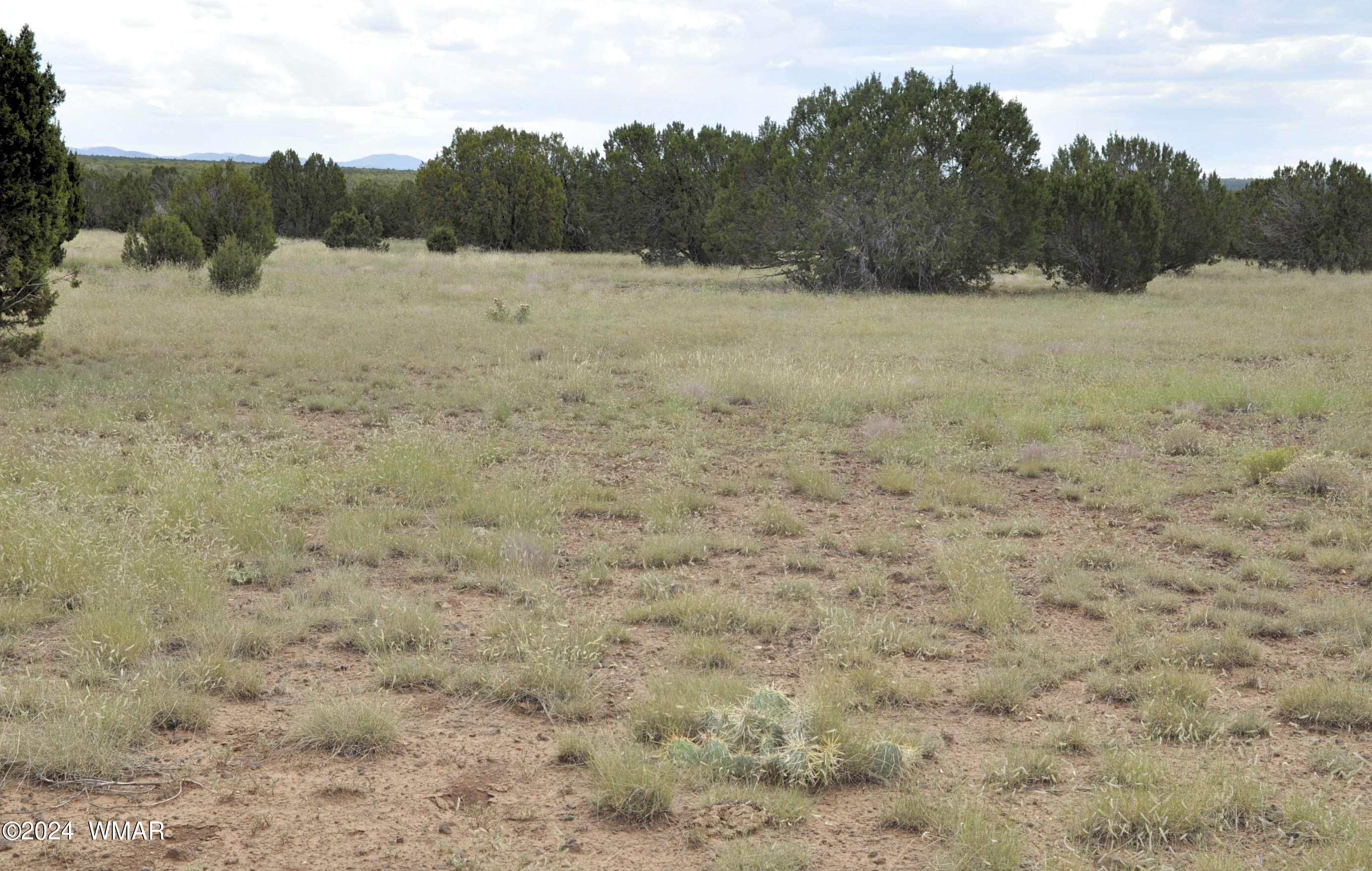 404 55-001 Chamisa Ranch Show Low, AZ 85901 - Photo 13 of 17 16