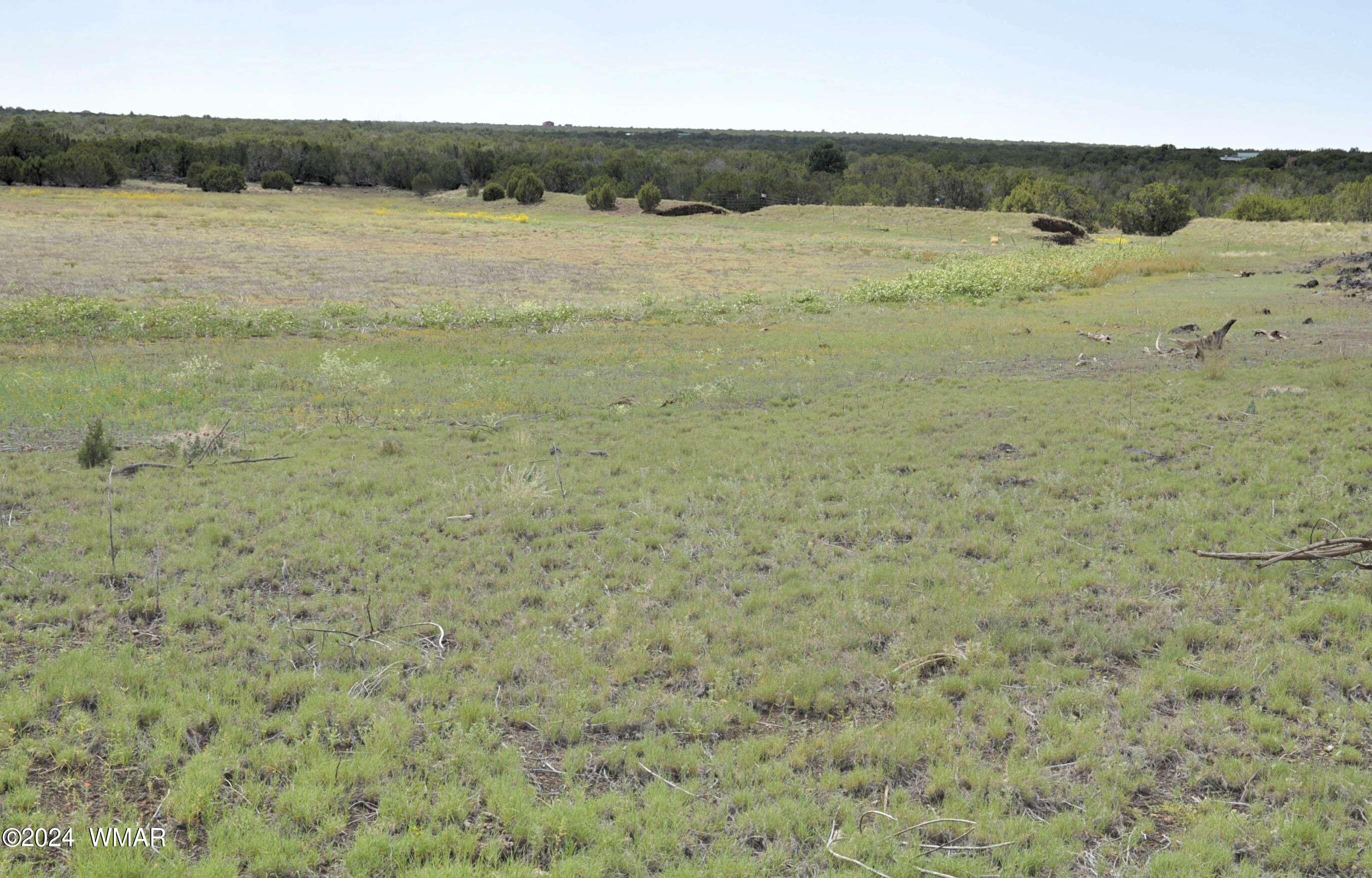 404 55-001 Chamisa Ranch Show Low, AZ 85901 - Photo 14 of 17 2