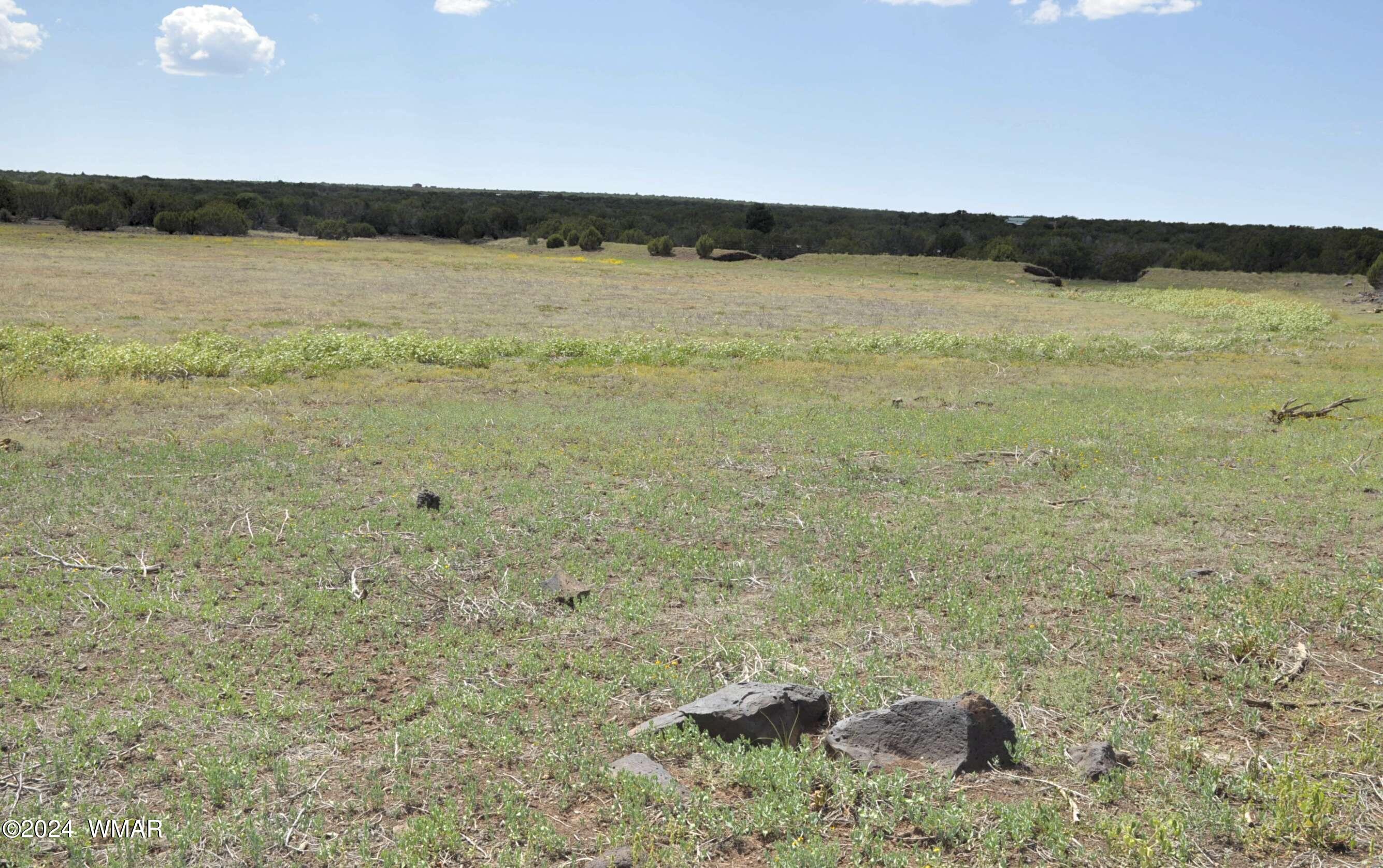 404 55-001 Chamisa Ranch Show Low, AZ 85901 - Photo 15 of 17 3