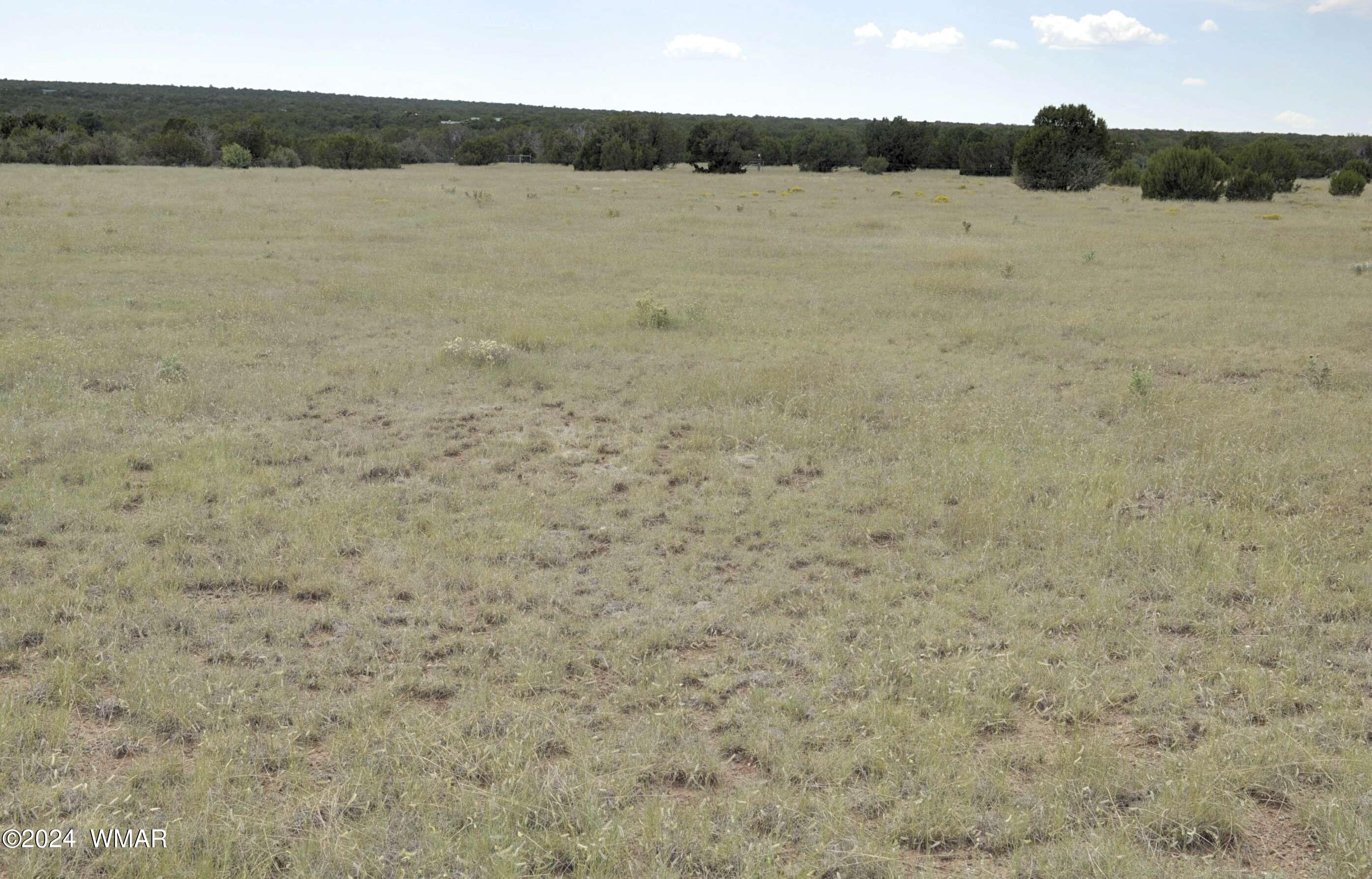 404 55-001 Chamisa Ranch Show Low, AZ 85901 - Photo 16 of 17 19
