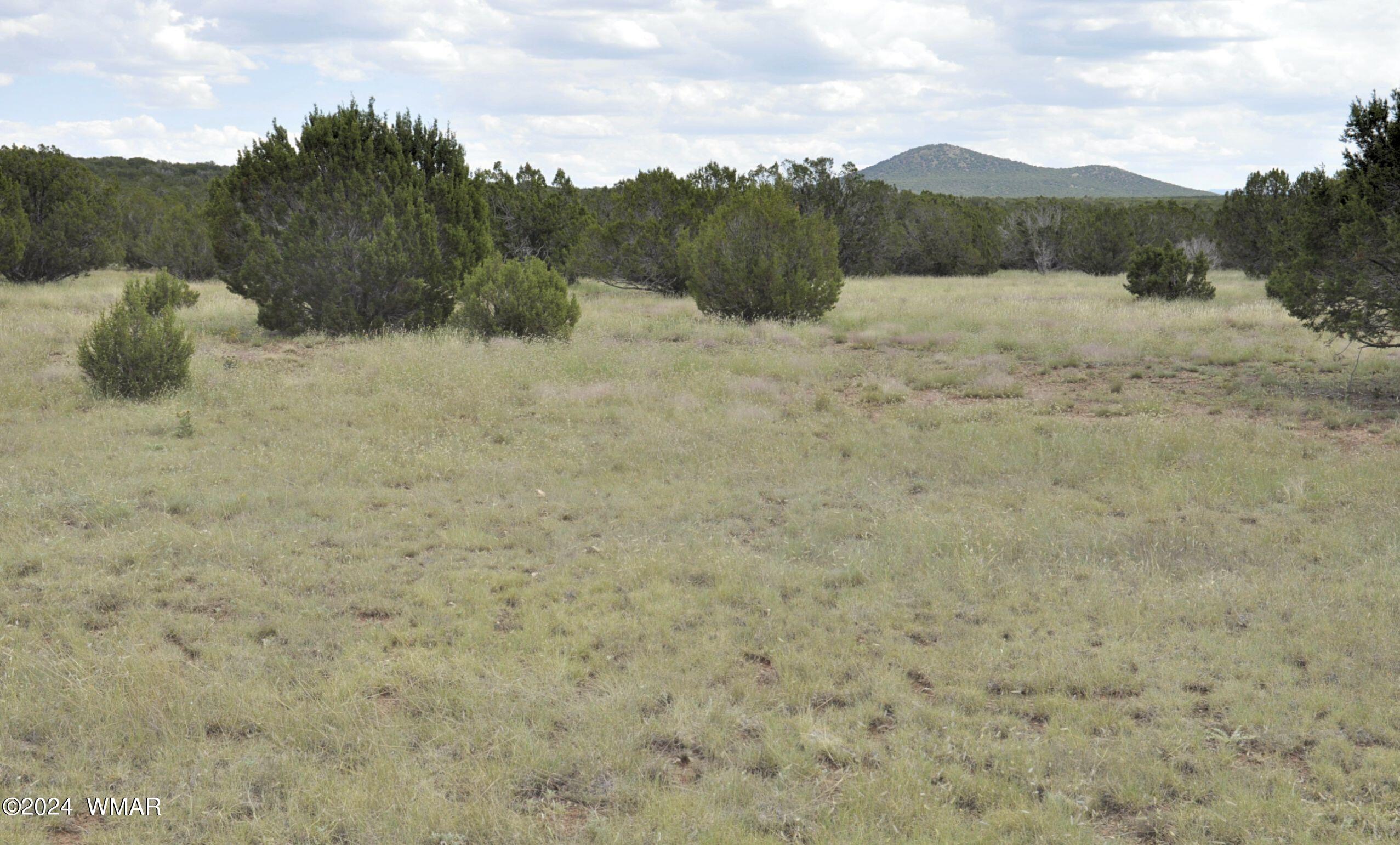 404 55-001 Chamisa Ranch Show Low, AZ 85901 - Photo 17 of 17 18