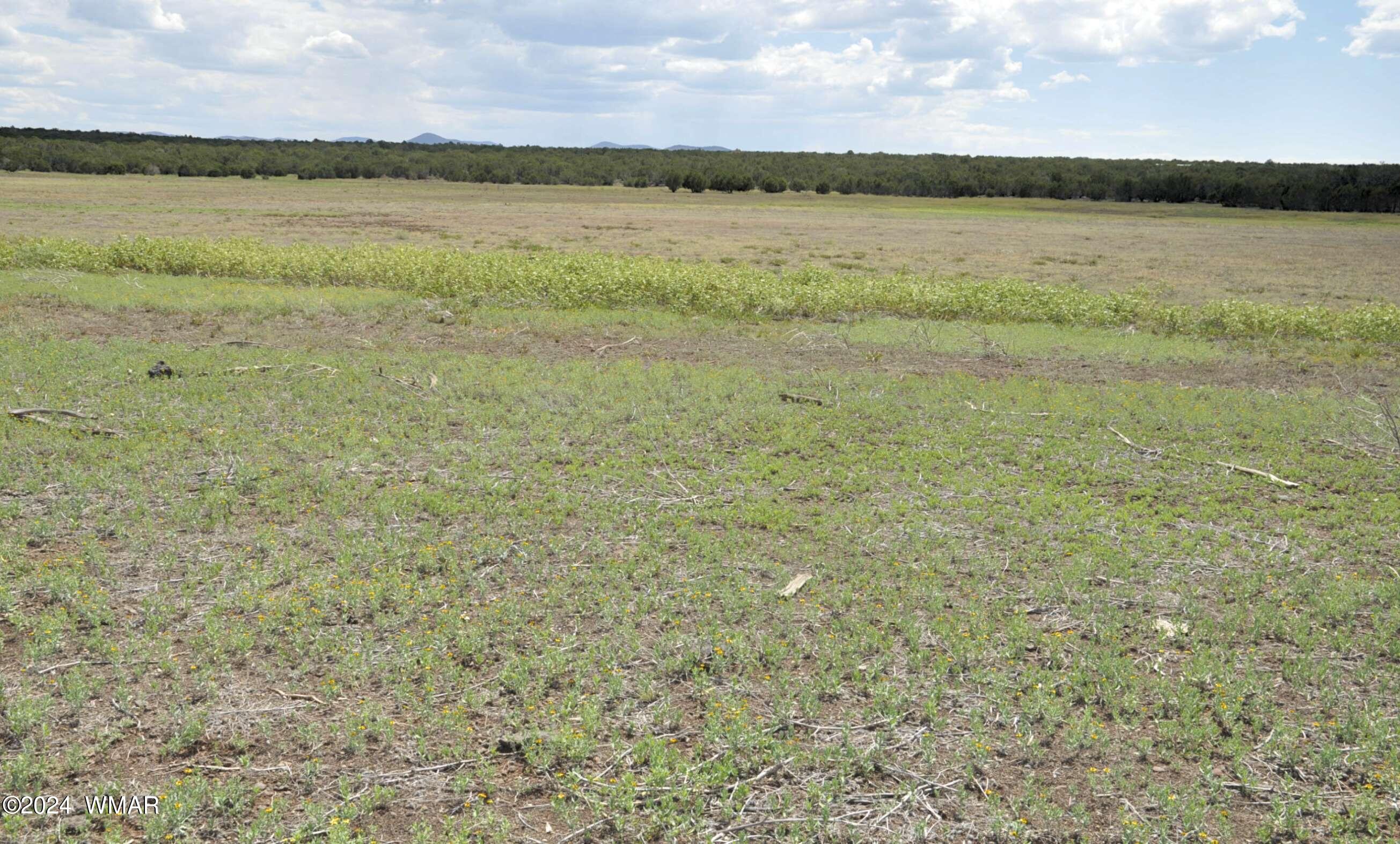 404 55-001 Chamisa Ranch Show Low, AZ 85901 - Photo 2 of 17 5