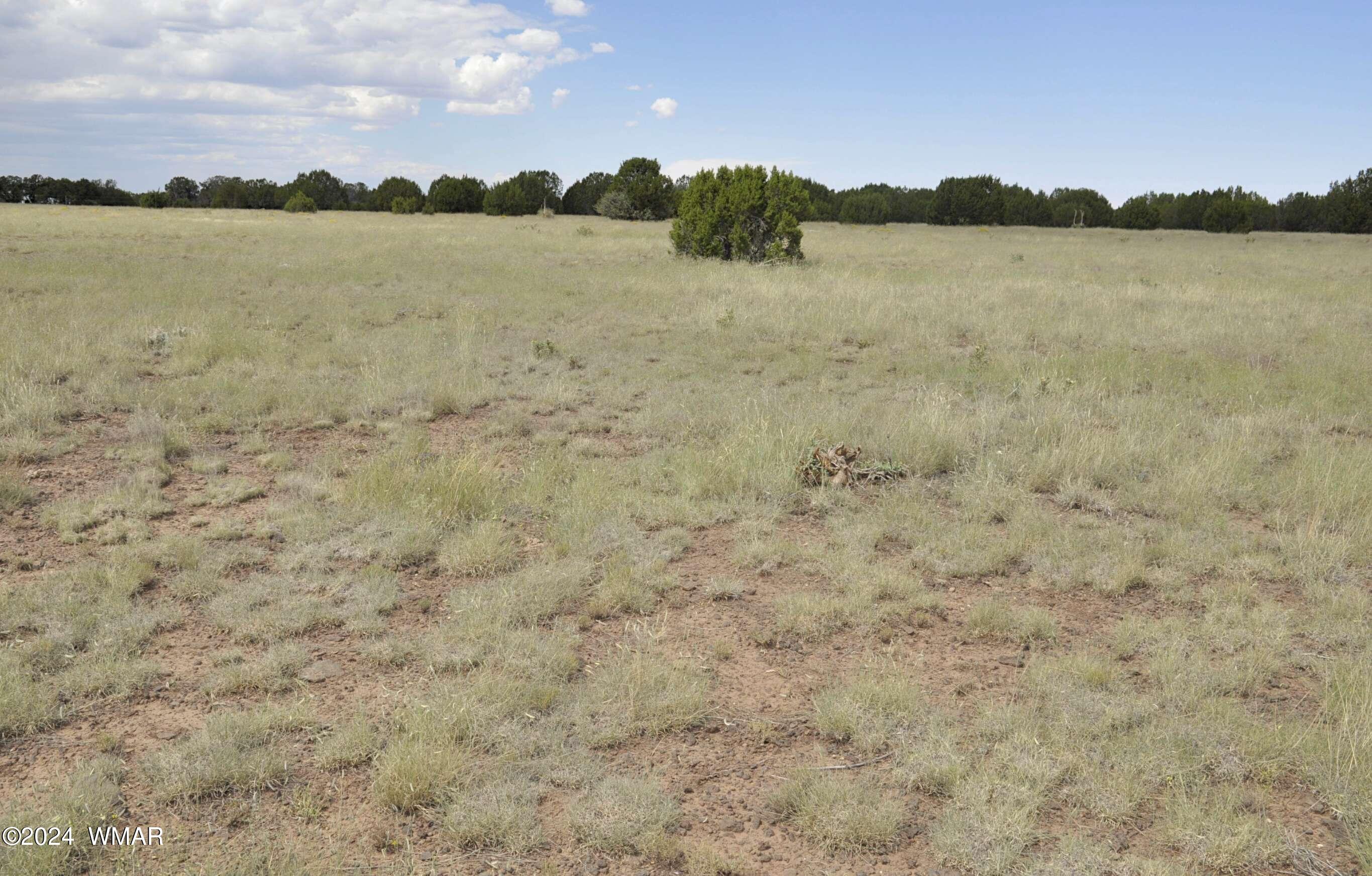 404 55-001 Chamisa Ranch Show Low, AZ 85901 - Photo 3 of 17 6