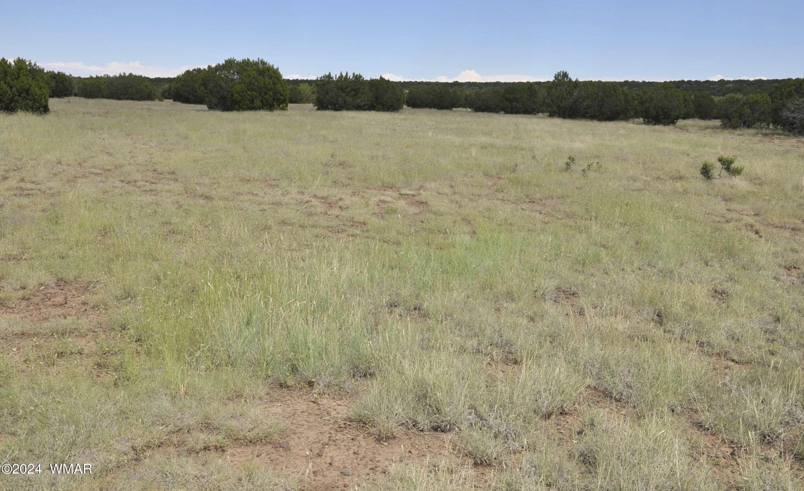 404 55-001 Chamisa Ranch Show Low, AZ 85901 - Photo 4 of 17 7
