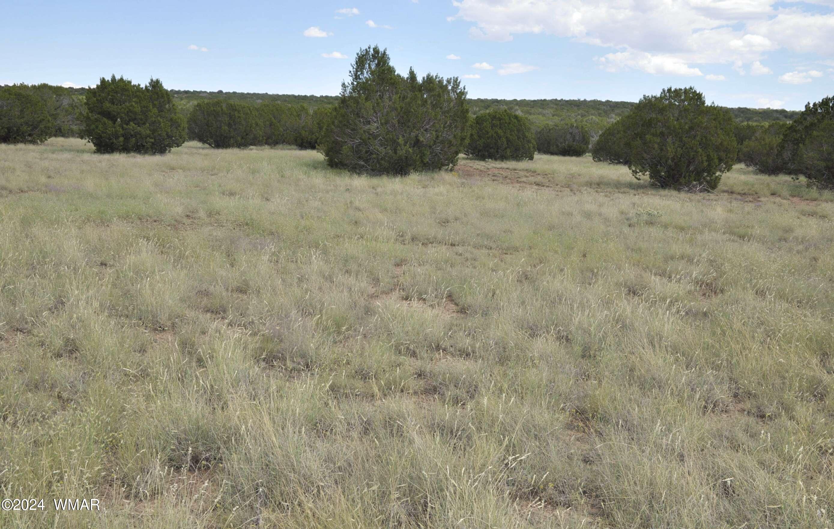 404 55-001 Chamisa Ranch Show Low, AZ 85901 - Photo 5 of 17 8