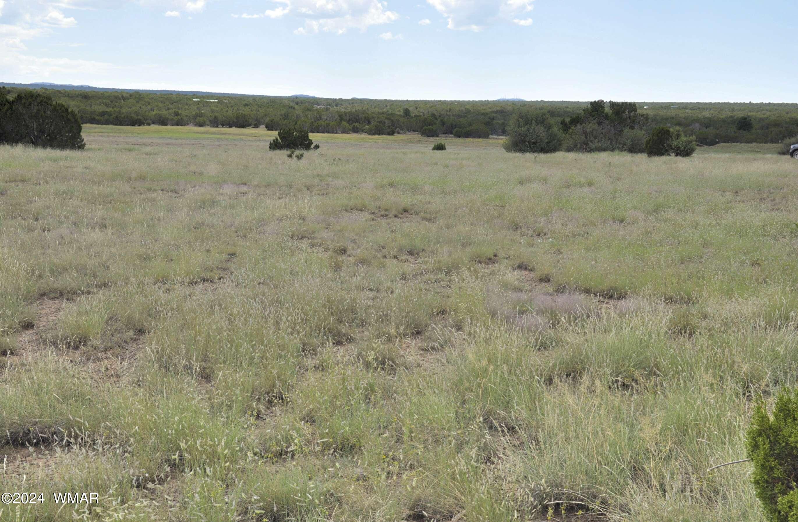 404 55-001 Chamisa Ranch Show Low, AZ 85901 - Photo 6 of 17 9