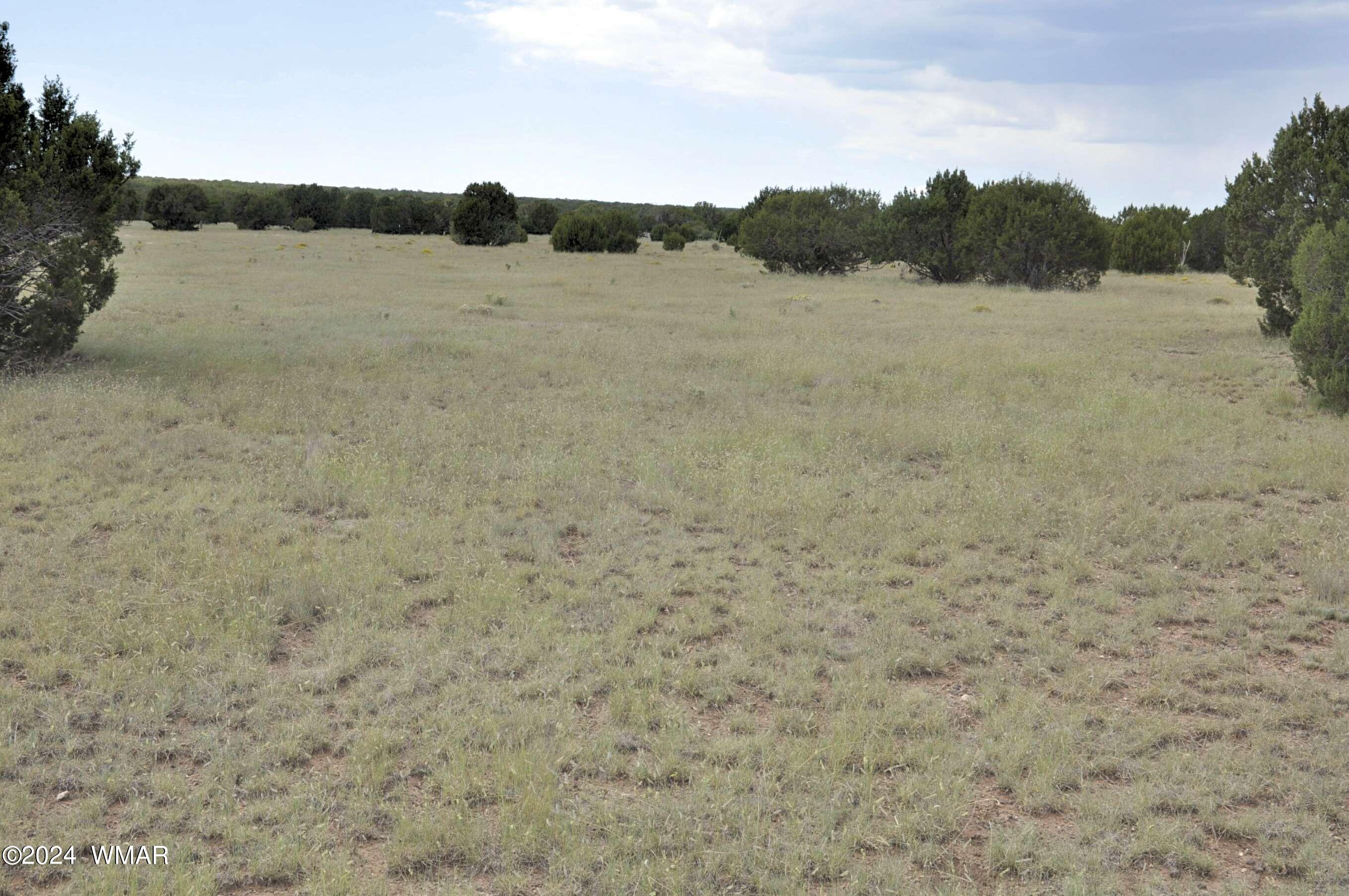 404 55-001 Chamisa Ranch Show Low, AZ 85901 - Photo 7 of 17 10