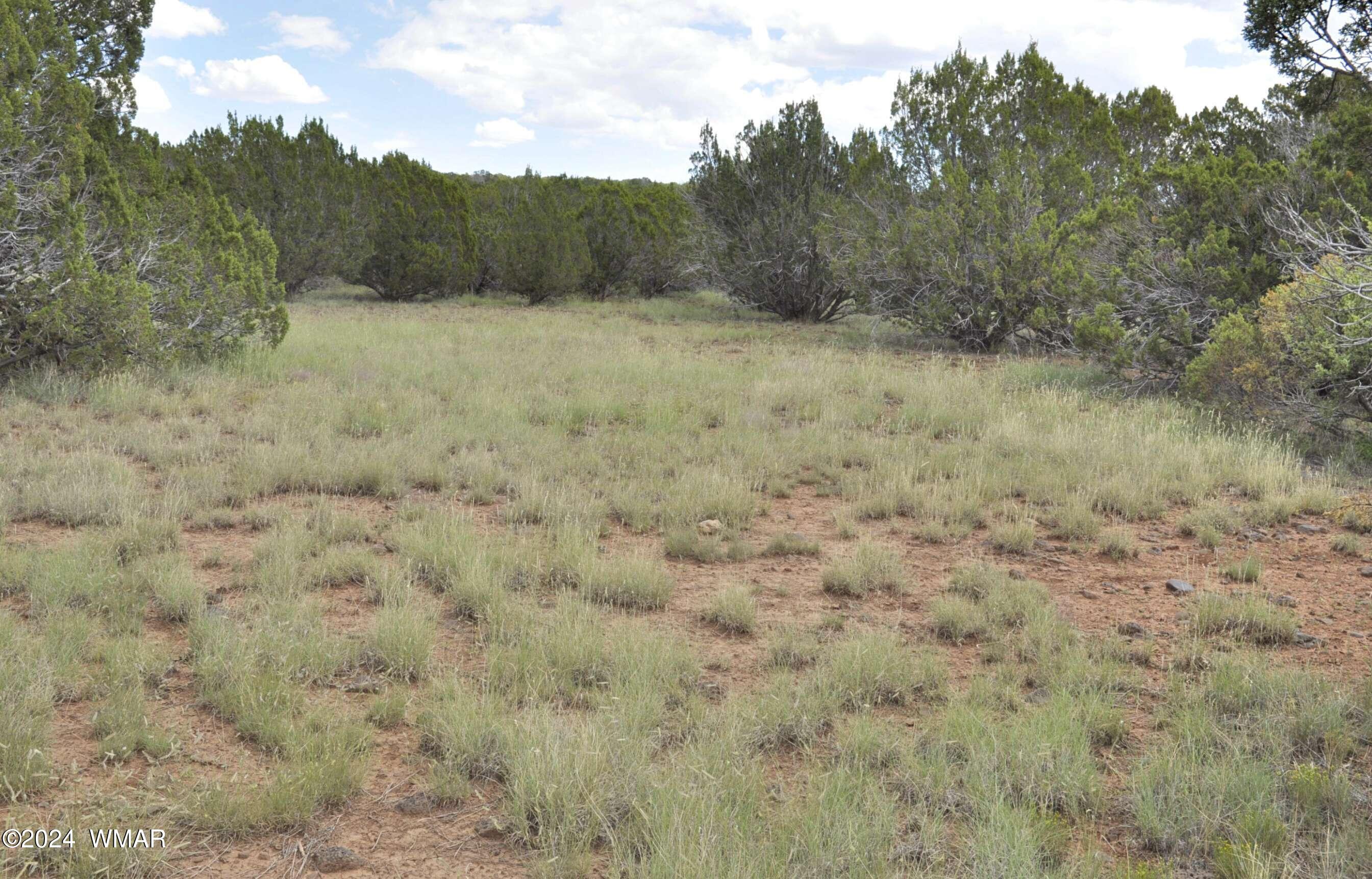 404 55-001 Chamisa Ranch Show Low, AZ 85901 - Photo 8 of 17 11