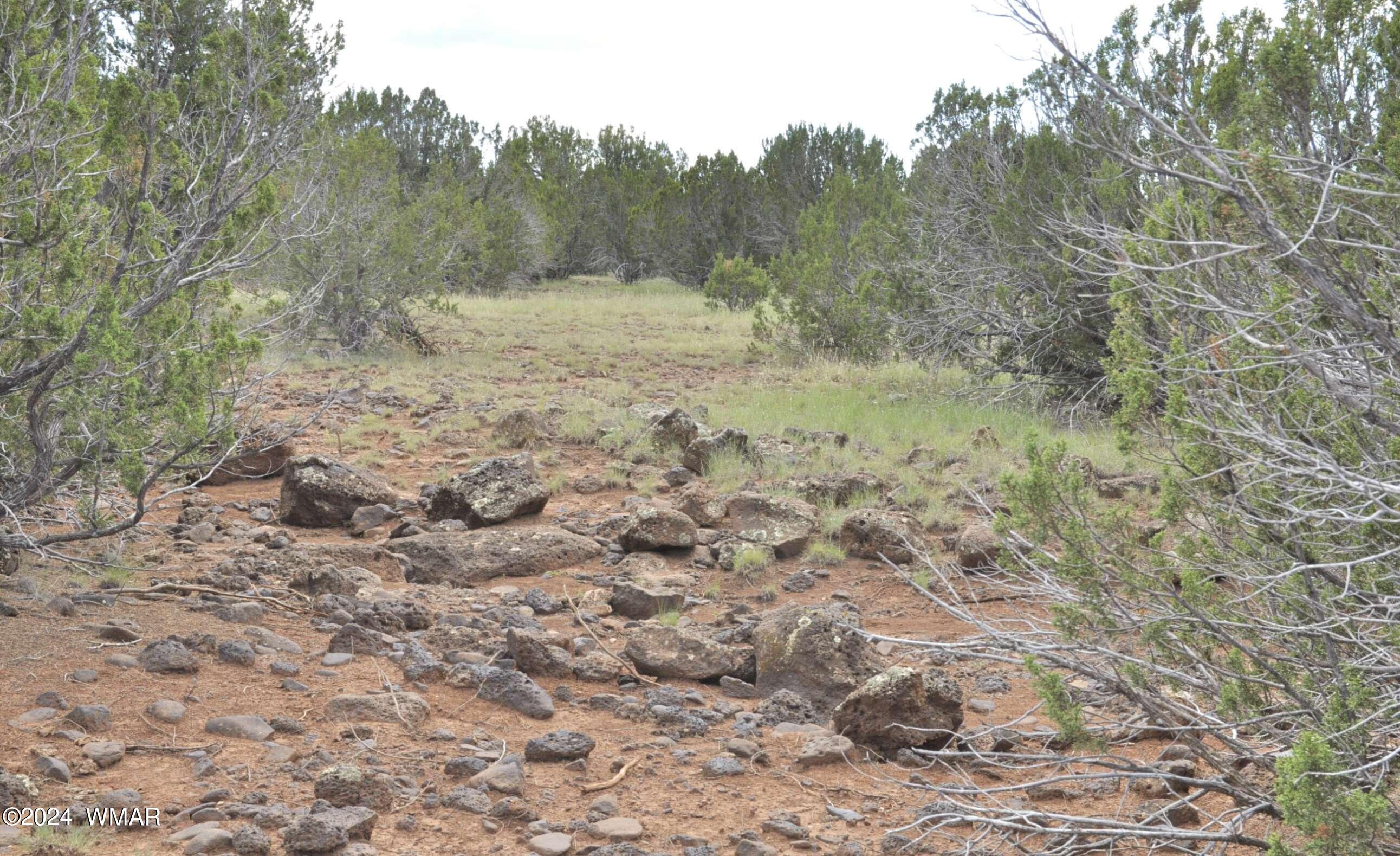 404 55-001 Chamisa Ranch Show Low, AZ 85901 - Photo 9 of 17 12