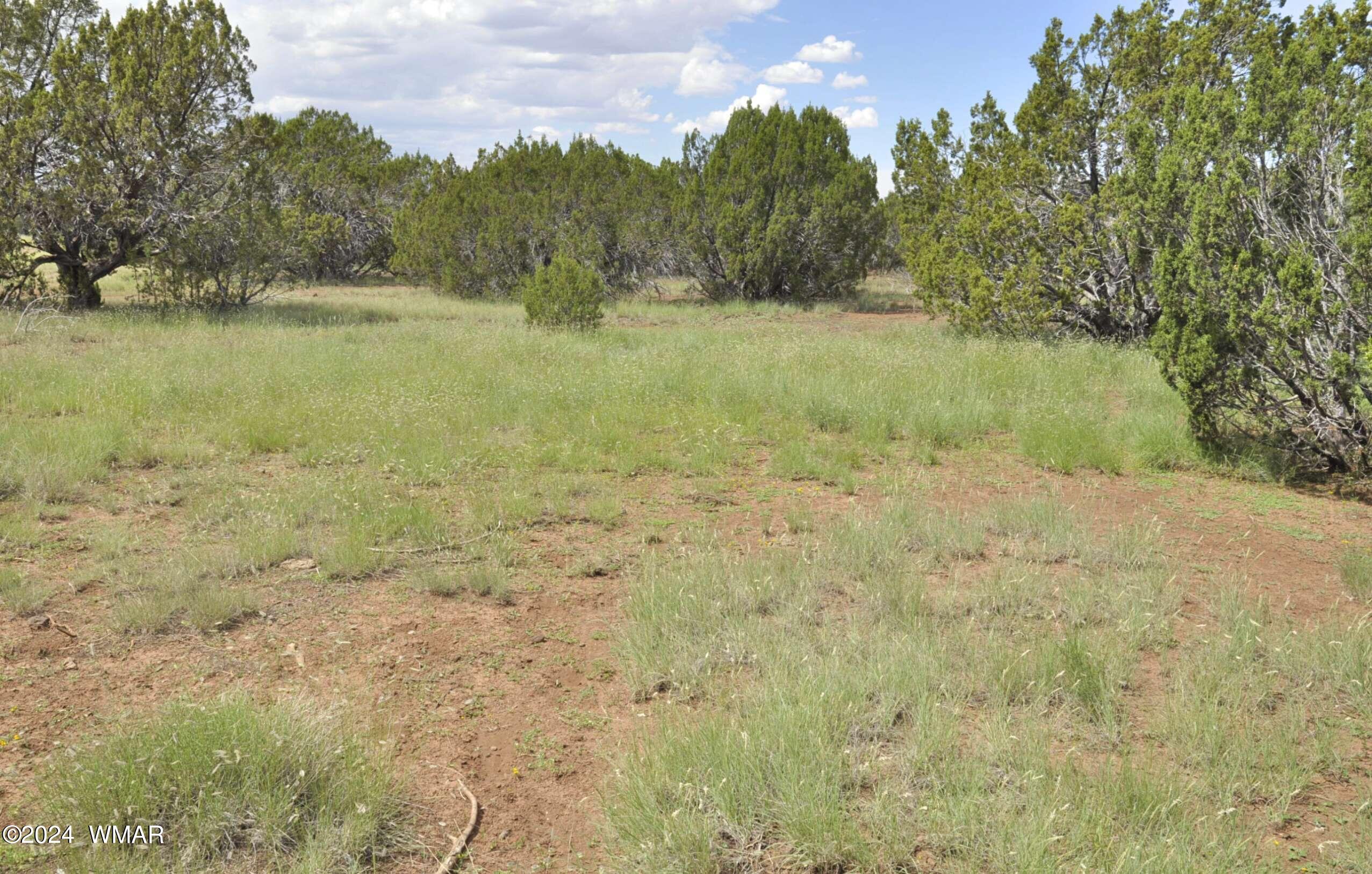 404 55-001 Chamisa Ranch Show Low, AZ 85901 - Photo 10 of 17 13