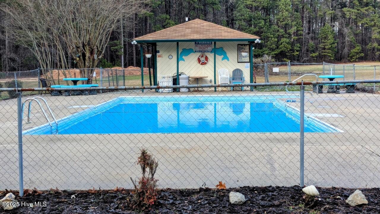 106 Palomino Road Carthage, NC 28327 - Photo 44 of 48 COMMUNITY POOL