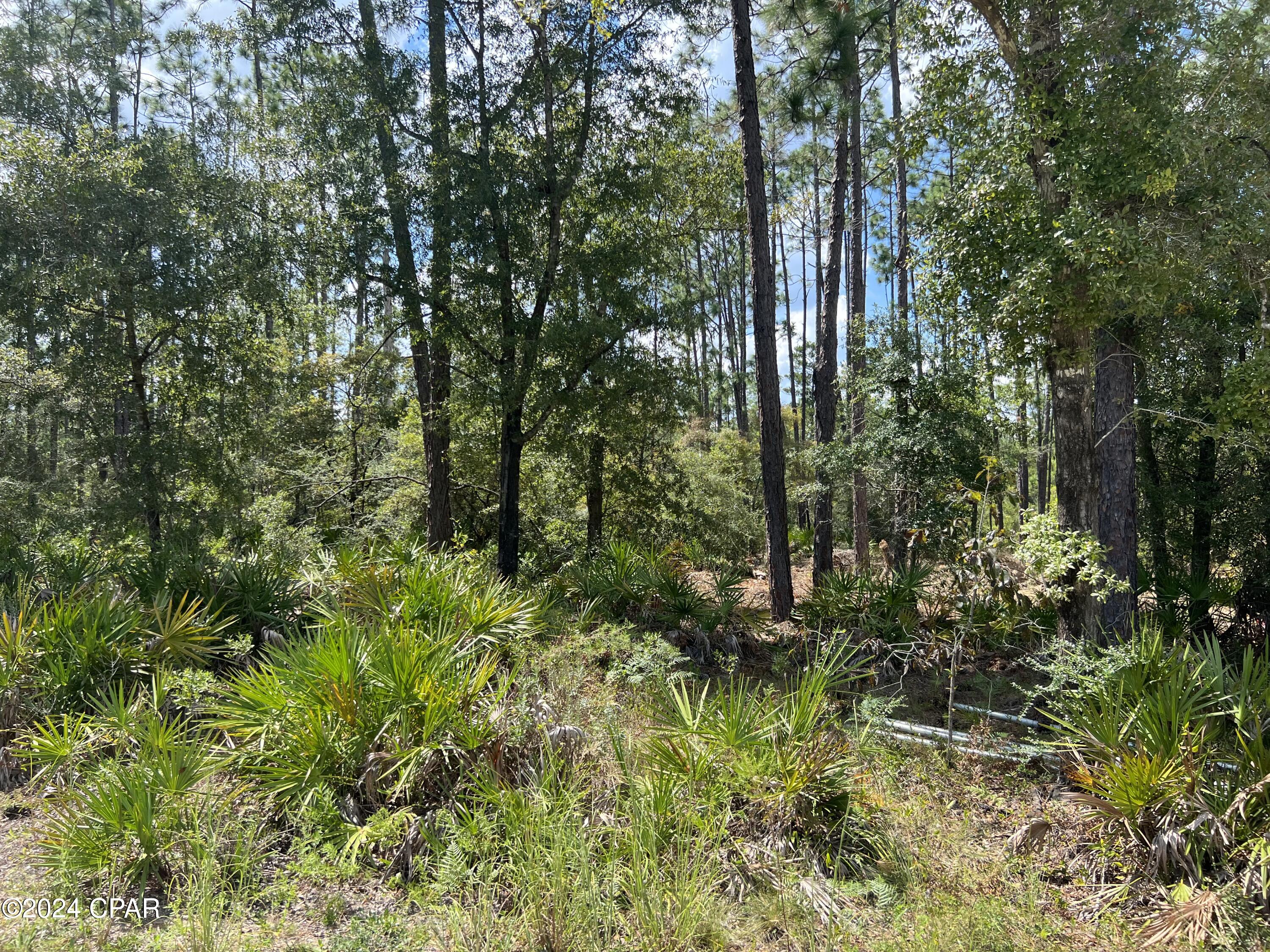 0 Northwest Longleaf Road Fountain, FL 32438 - Photo 11 of 12 Gallery Image 11