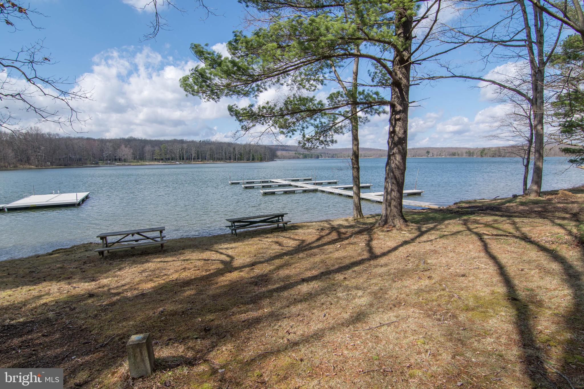 832 Pine Tree Point Road Swanton, MD 21561 - Photo 2 of 54