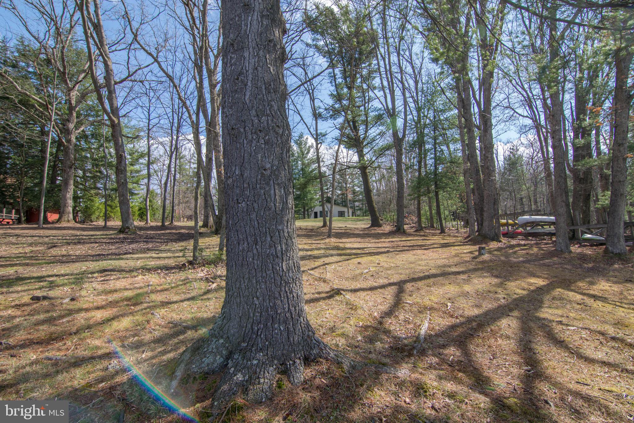 832 Pine Tree Point Road Swanton, MD 21561 - Photo 49 of 54